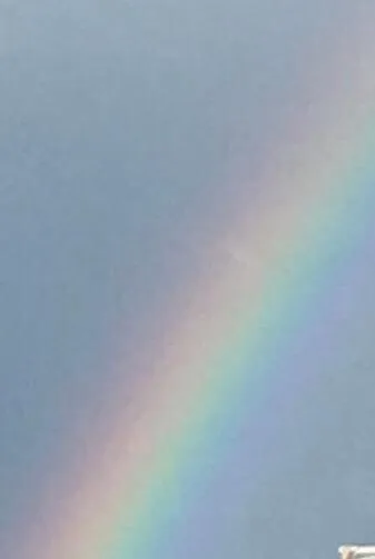 View (from property/room) in Goldberryaccommodation