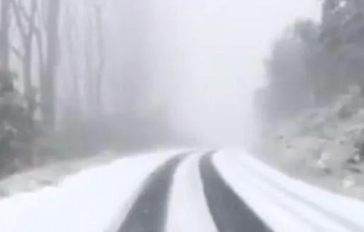 Natural landscape in Goldberryaccommodation