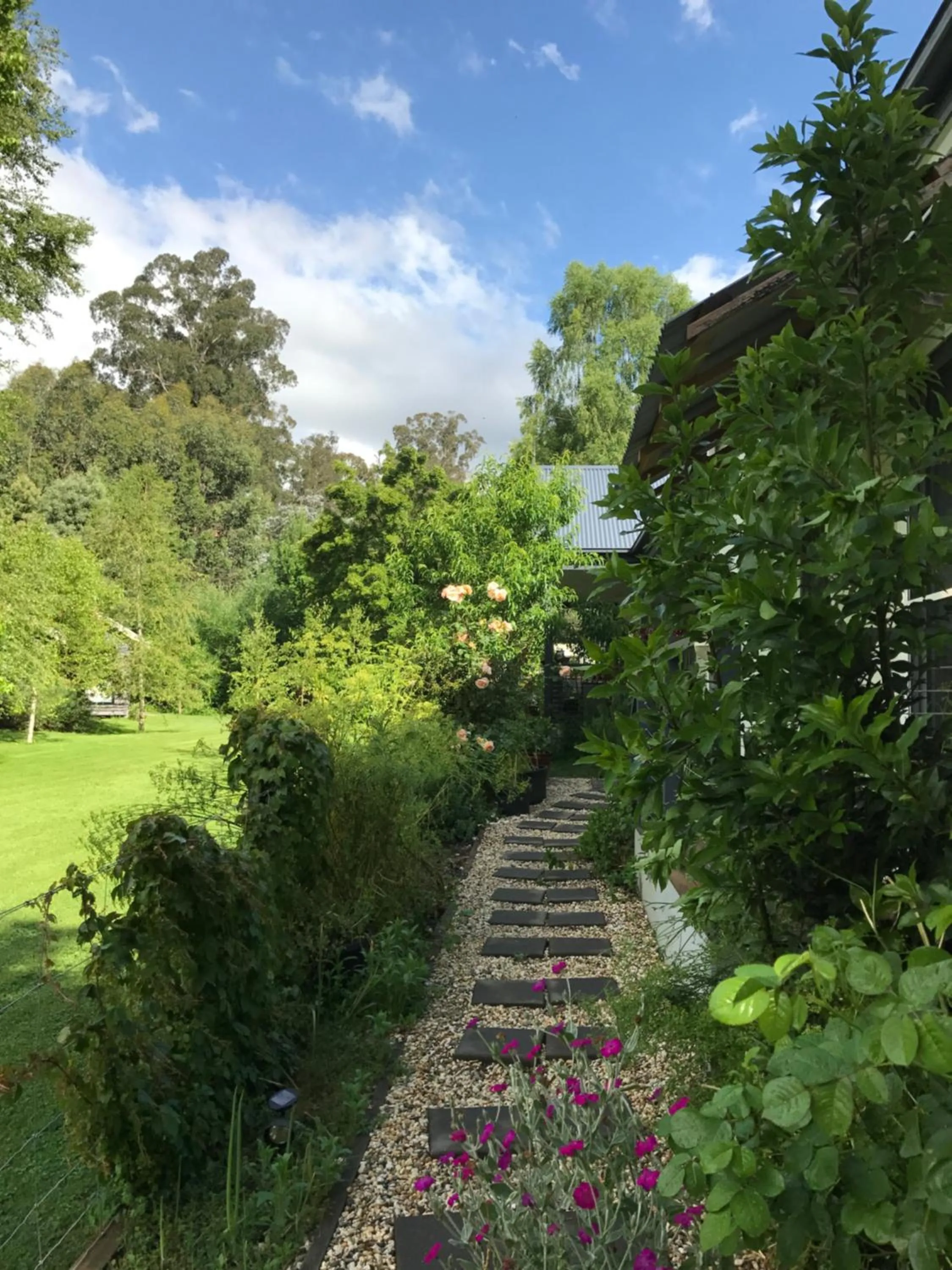 Garden view in Goldberryaccommodation