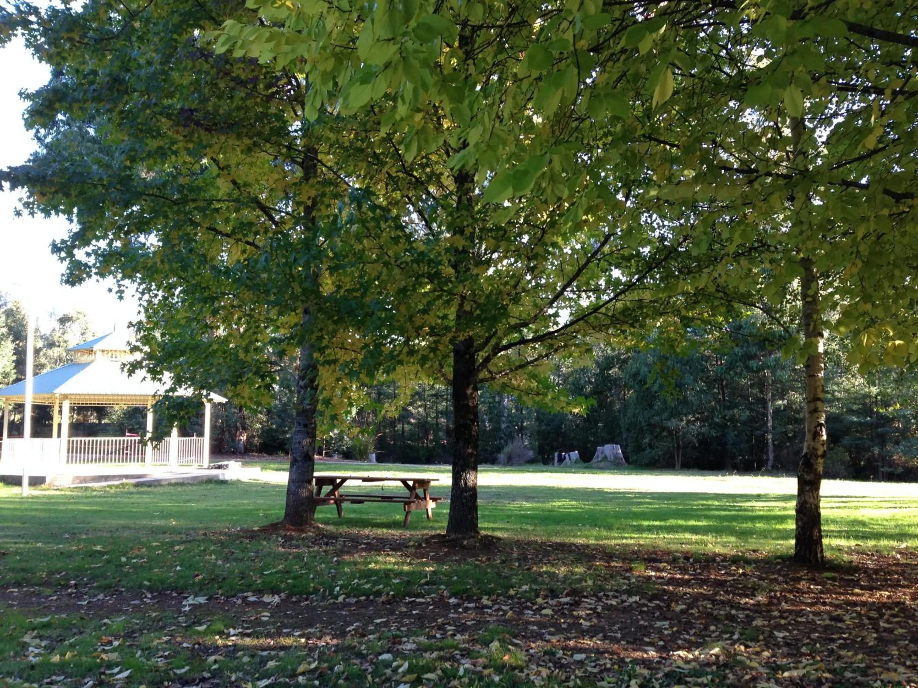 Nearby landmark in Goldberryaccommodation