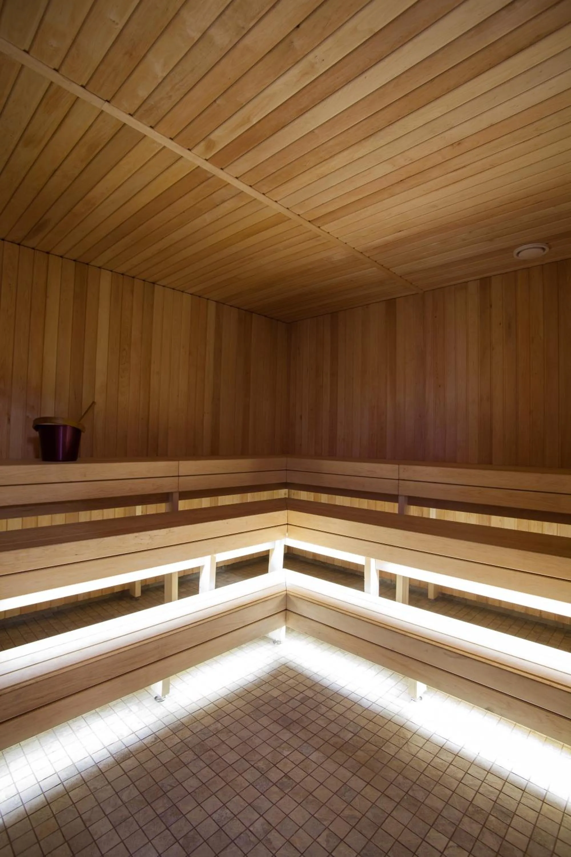 Sauna in Viiking Spa Hotel