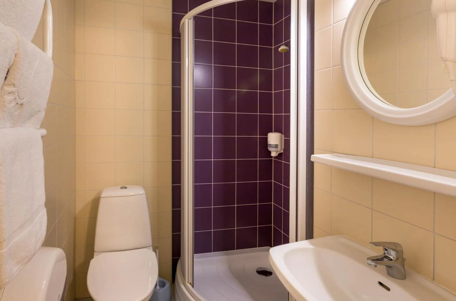 Bathroom in Viiking Spa Hotel