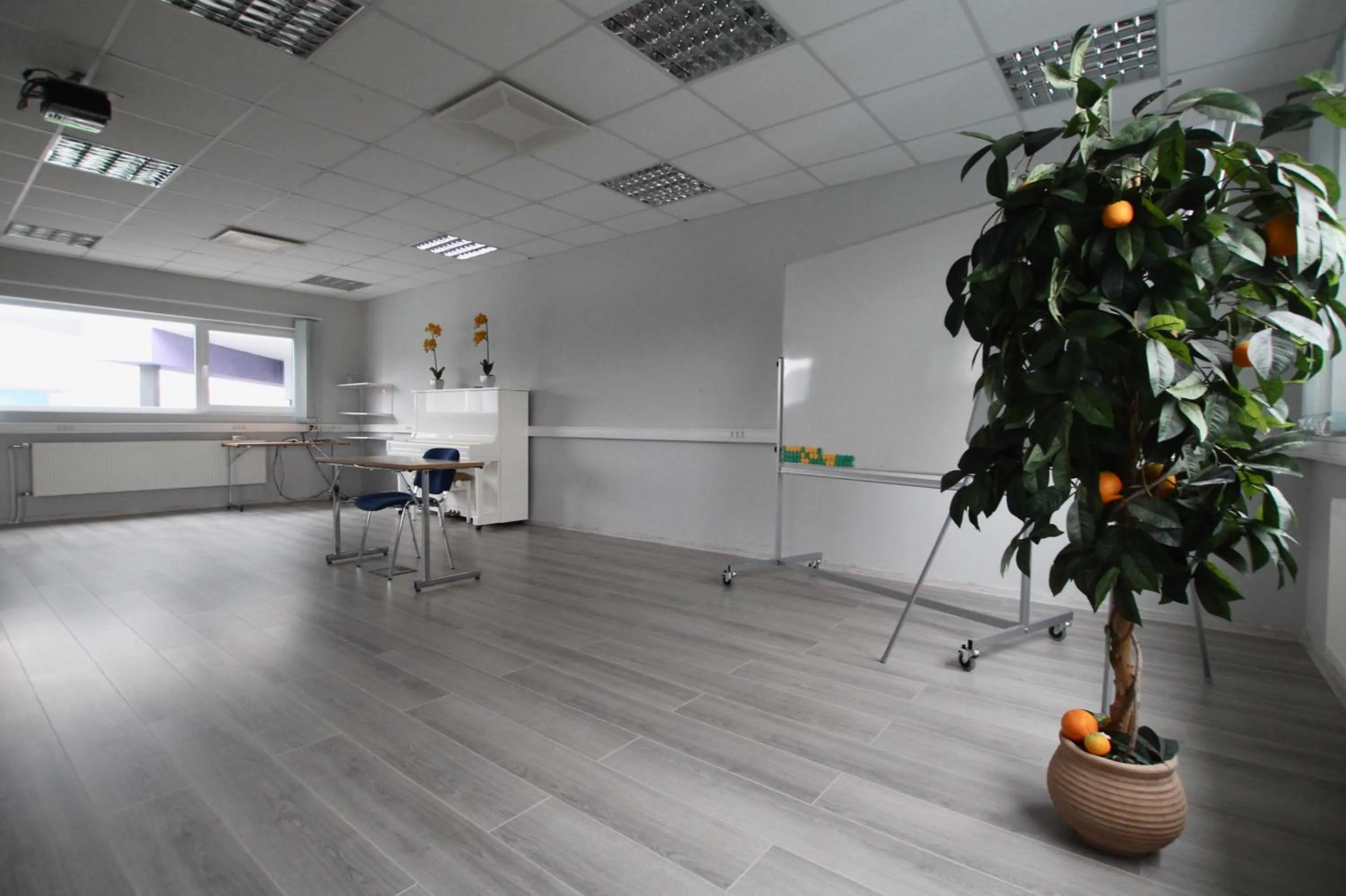 Activities in Viiking Spa Hotel