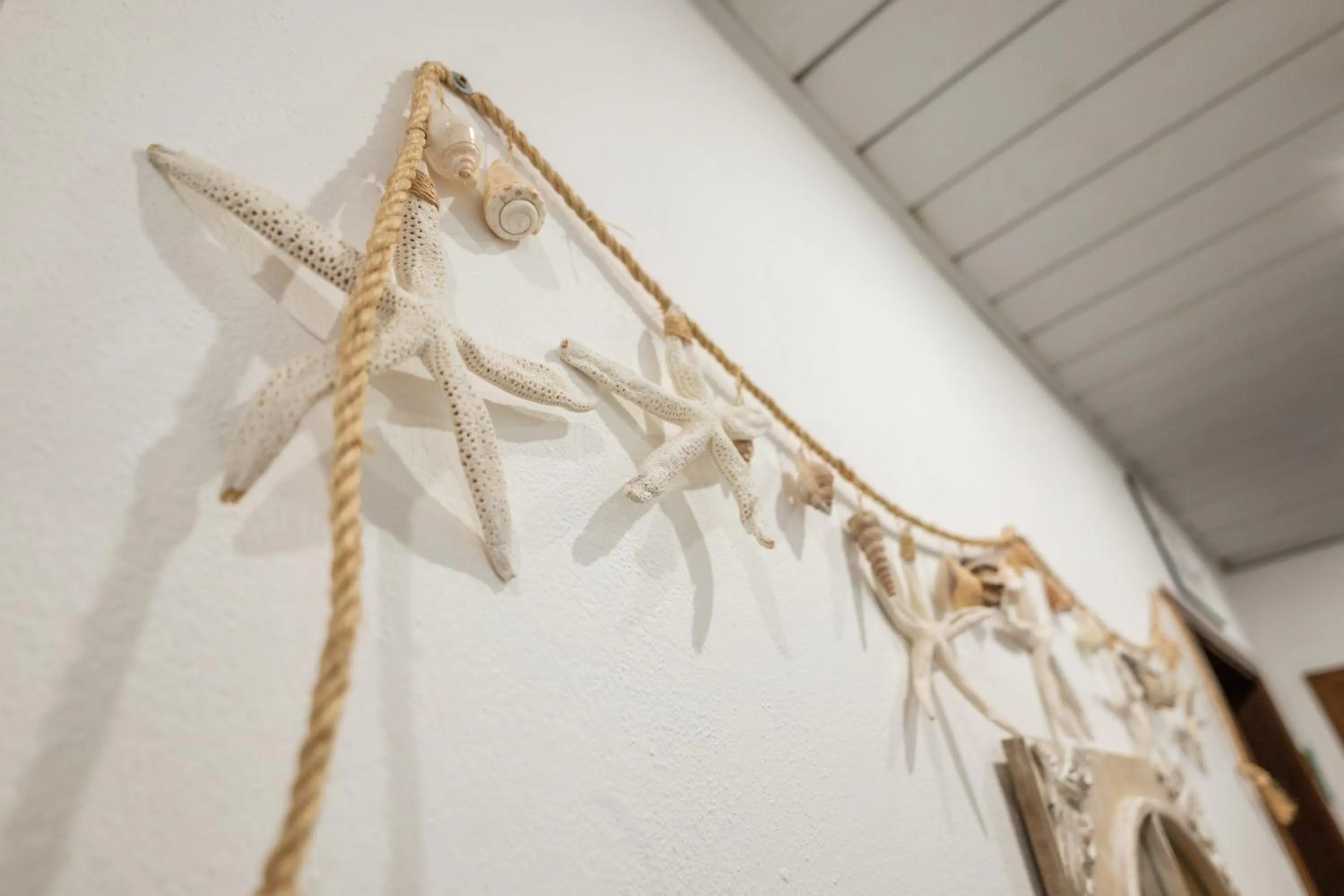 Decorative detail in Hotel Il Lato Azzurro - Isola di Sant'Erasmo - NO VEHICLES ACCESS