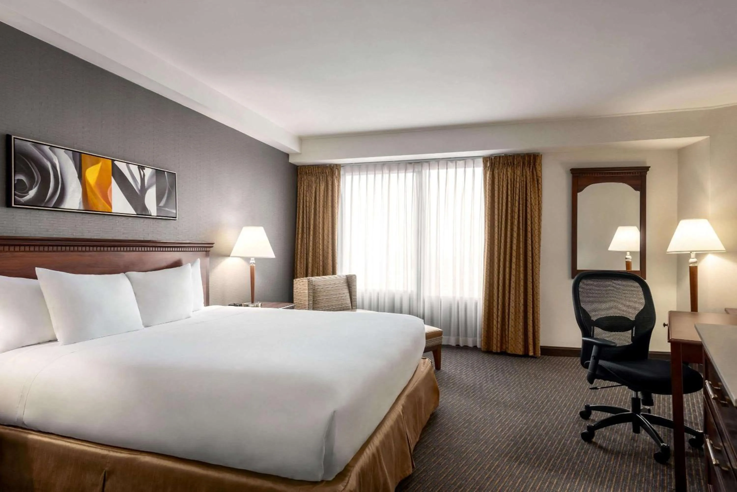 Photo of the whole room in Wyndham Springfield City Centre