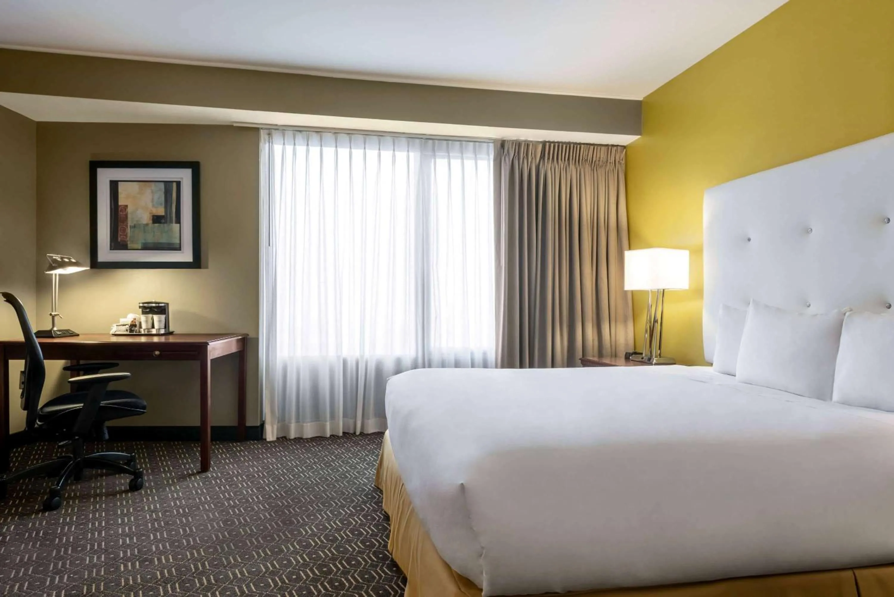 Photo of the whole room in Wyndham Springfield City Centre