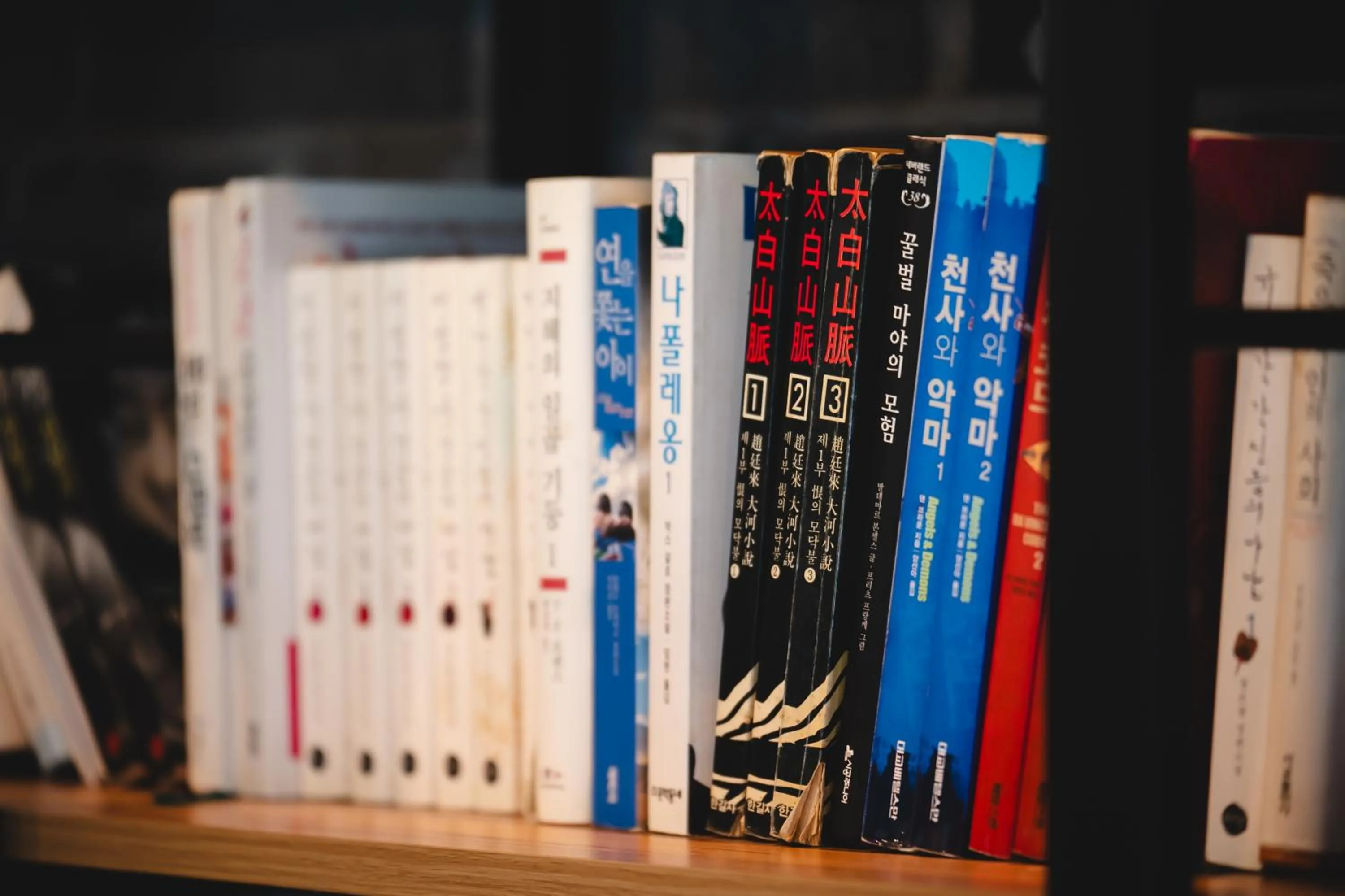 Library in Hotel Iam