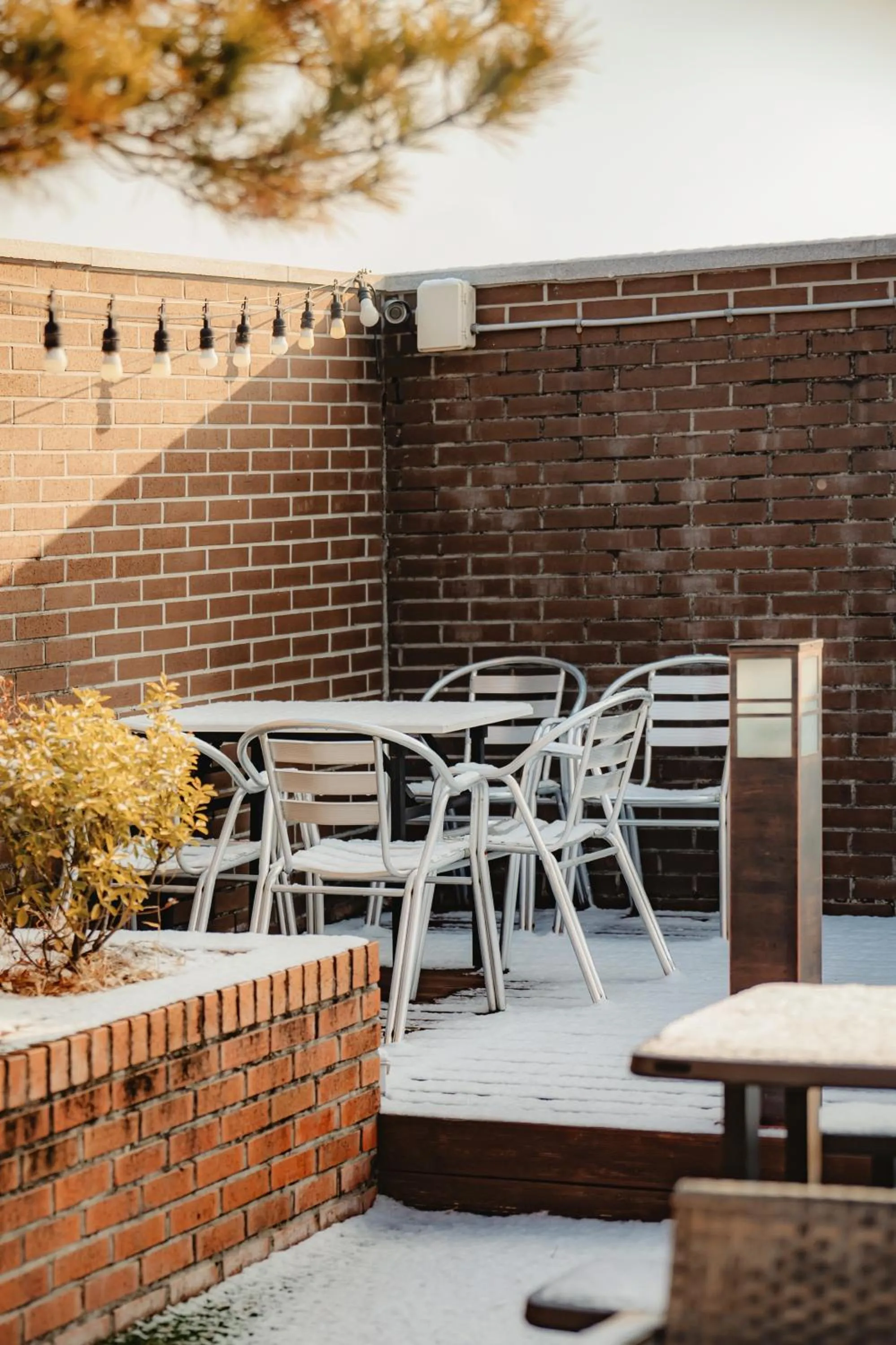 Seating area in Hotel Iam
