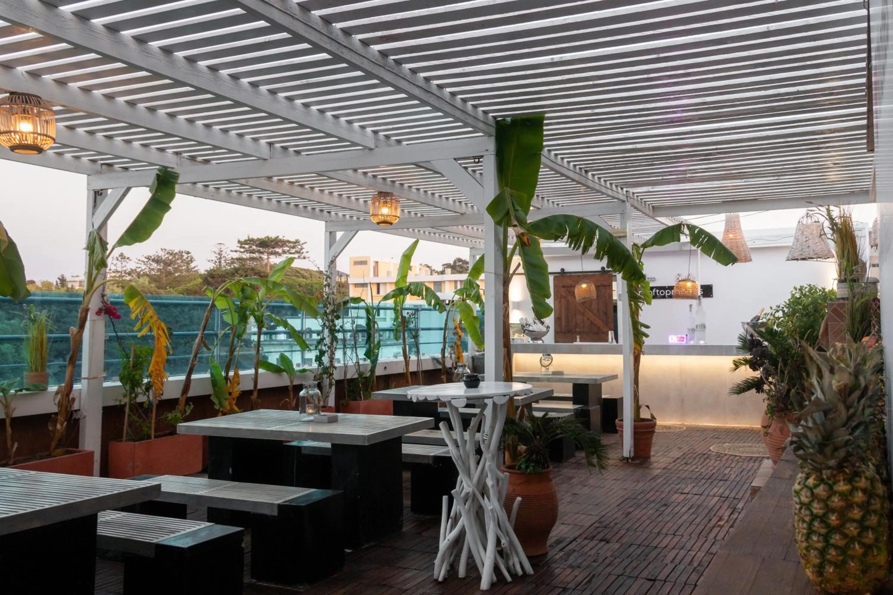 Garden in Hotel Parthenon Rodos city