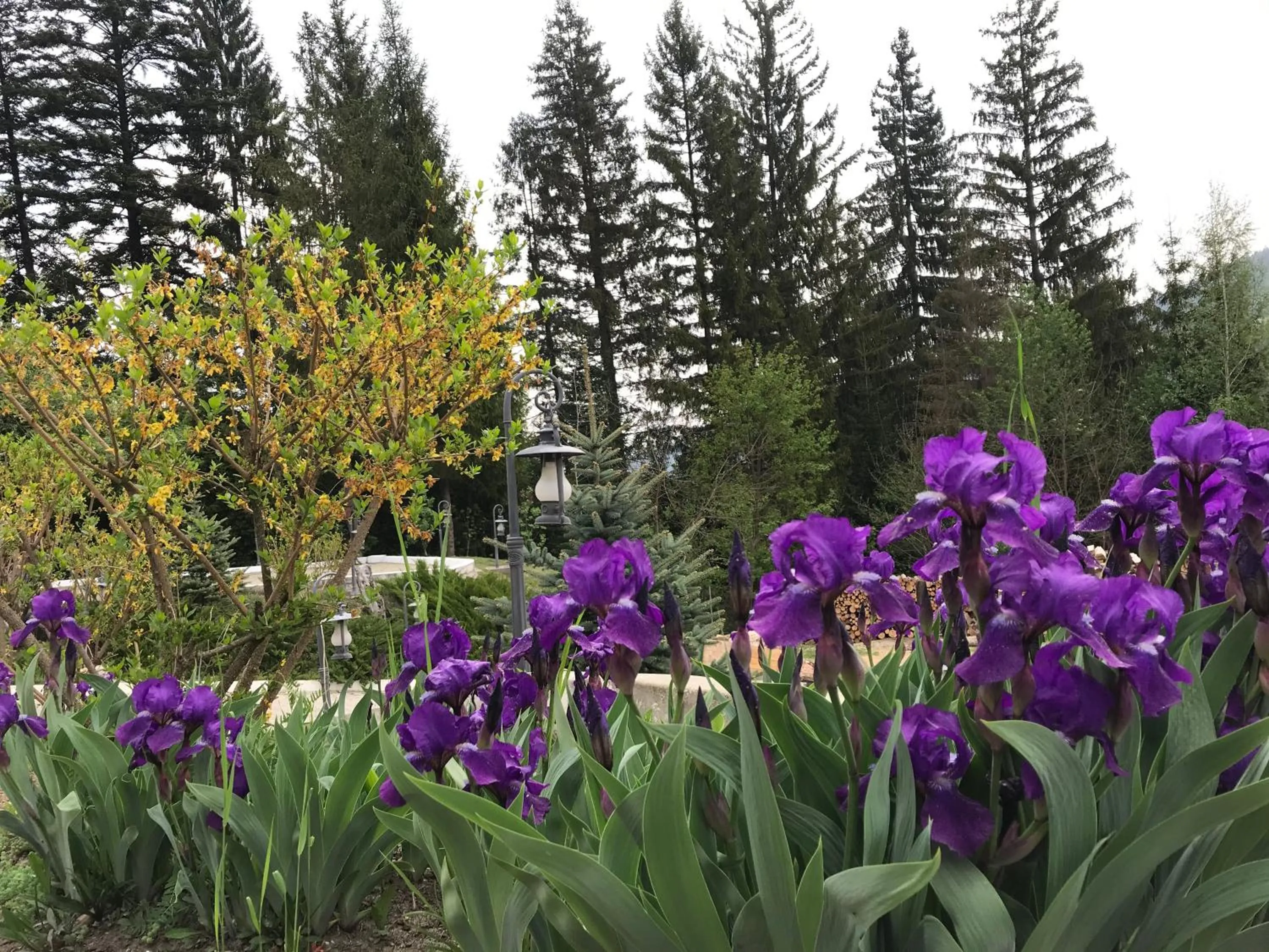 Spring in Pension Perla Bucovinei