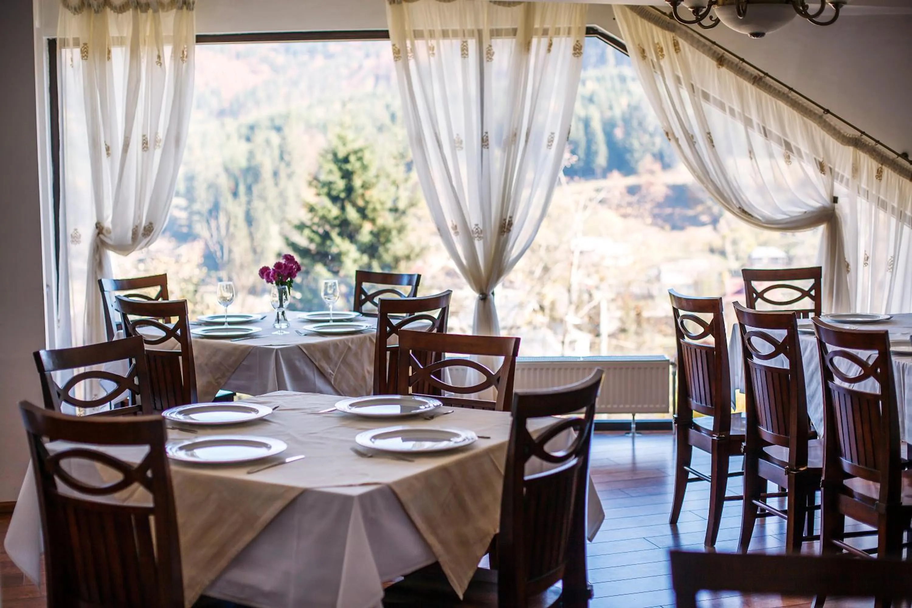 Dining area in Pension Perla Bucovinei