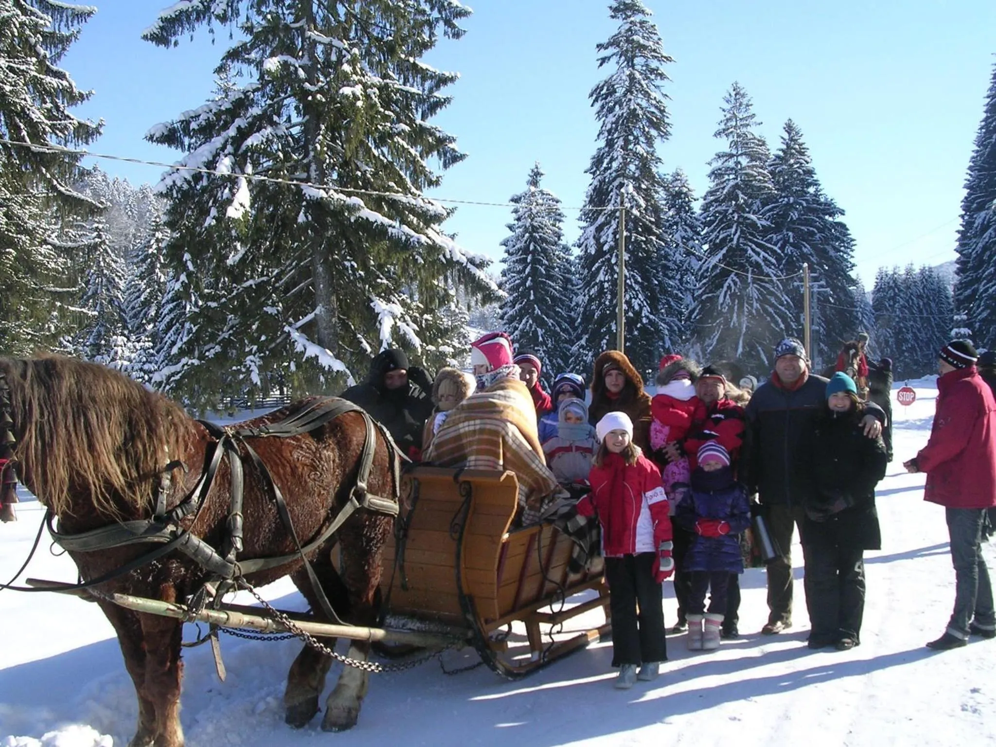 Activities in Pension Perla Bucovinei