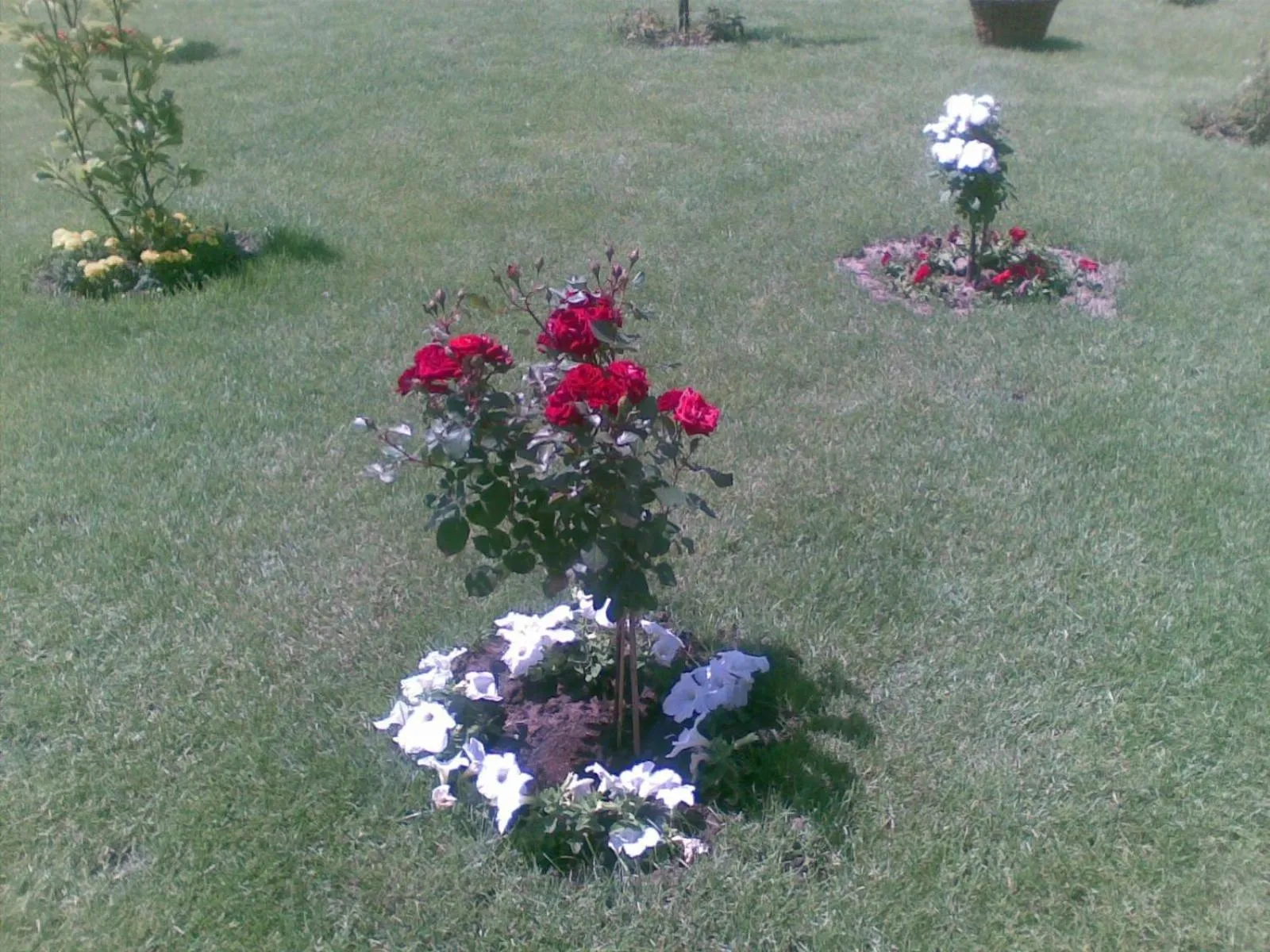 Facade/entrance in Pension Perla Bucovinei
