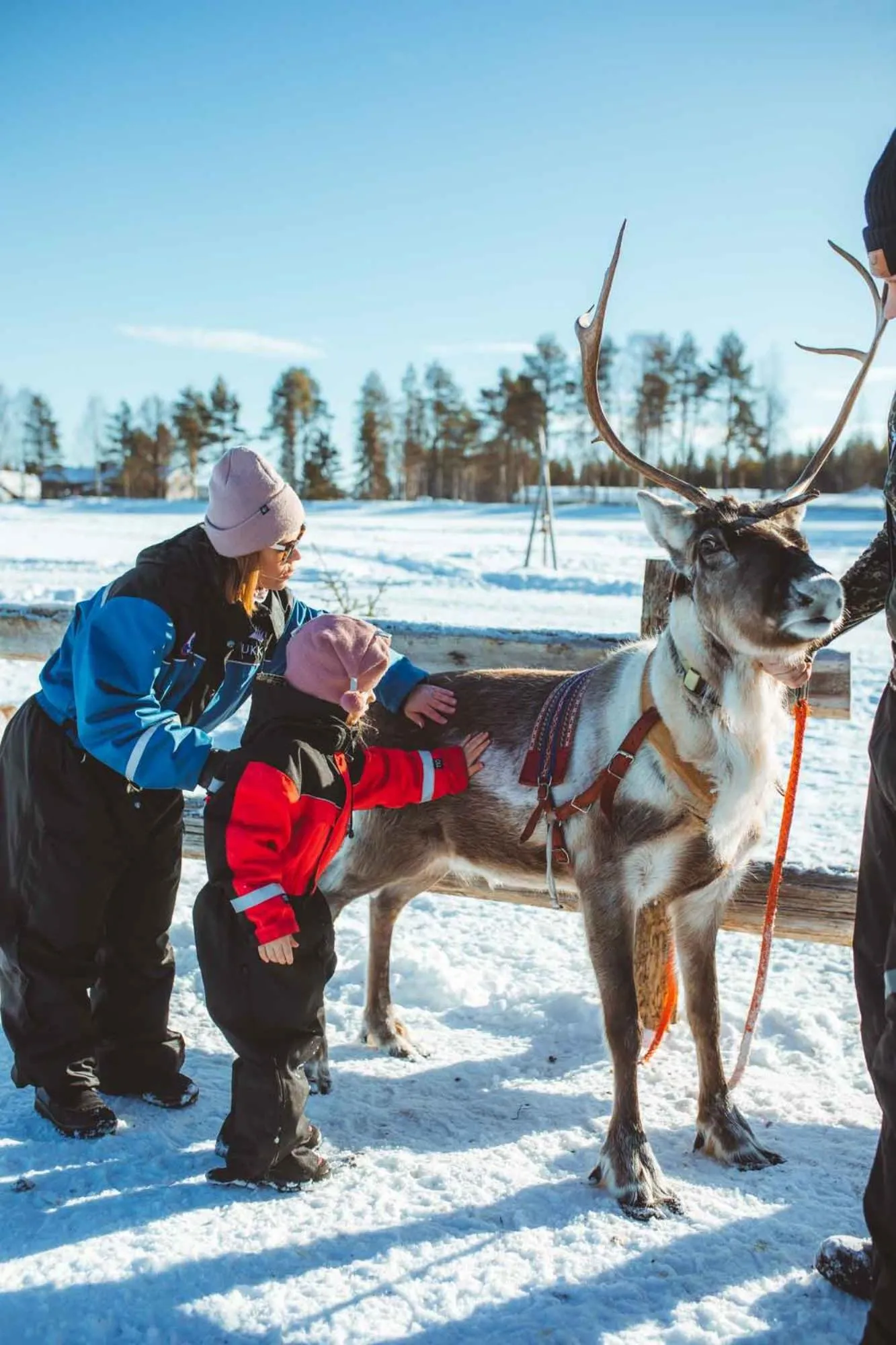 Activities in Apukka Resort
