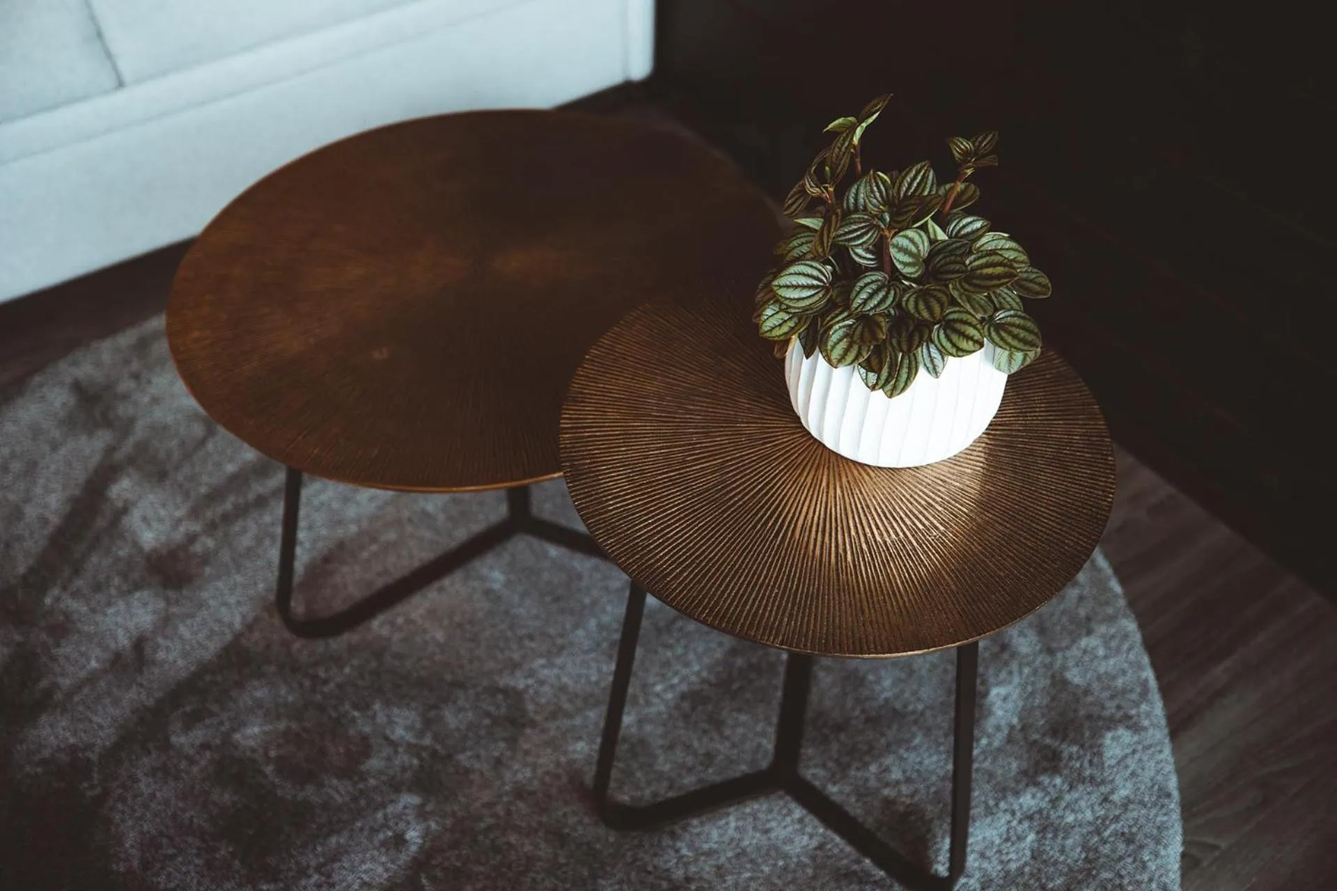 Seating area in Apukka Resort