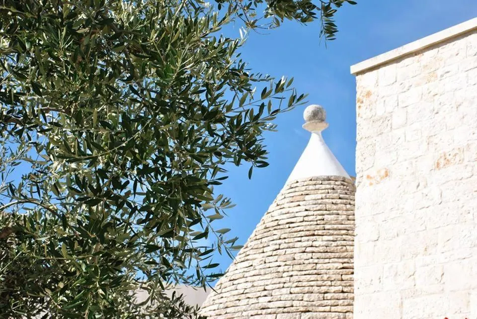 Bird's eye view in Pietra Pesara