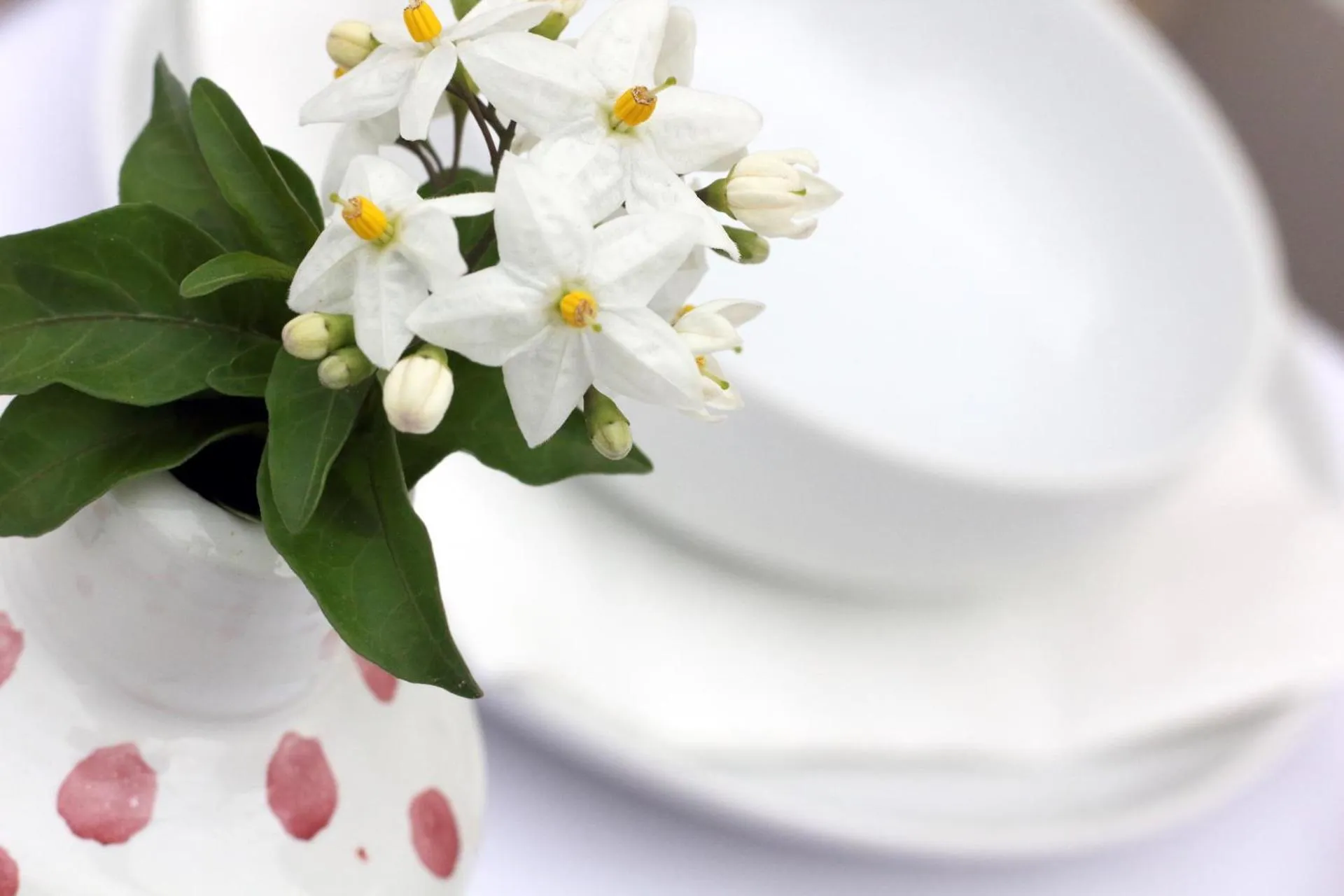 Restaurant/places to eat in Pietra Pesara