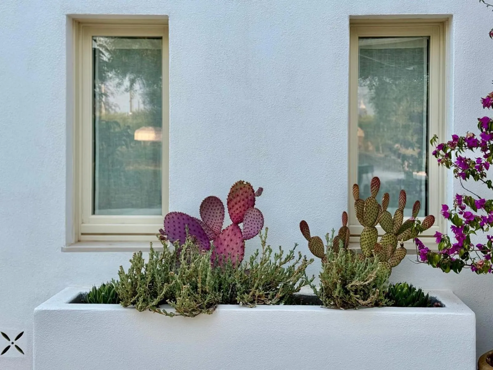 Garden in Pietra Pesara