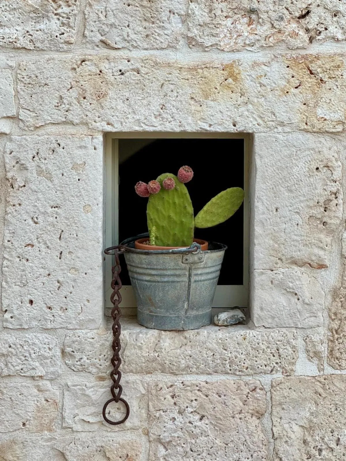 Property building in Pietra Pesara