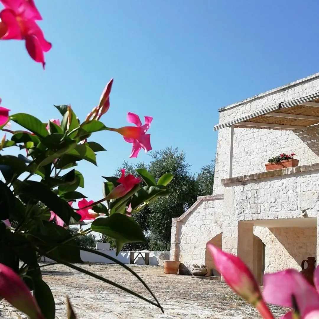 Garden in Pietra Pesara