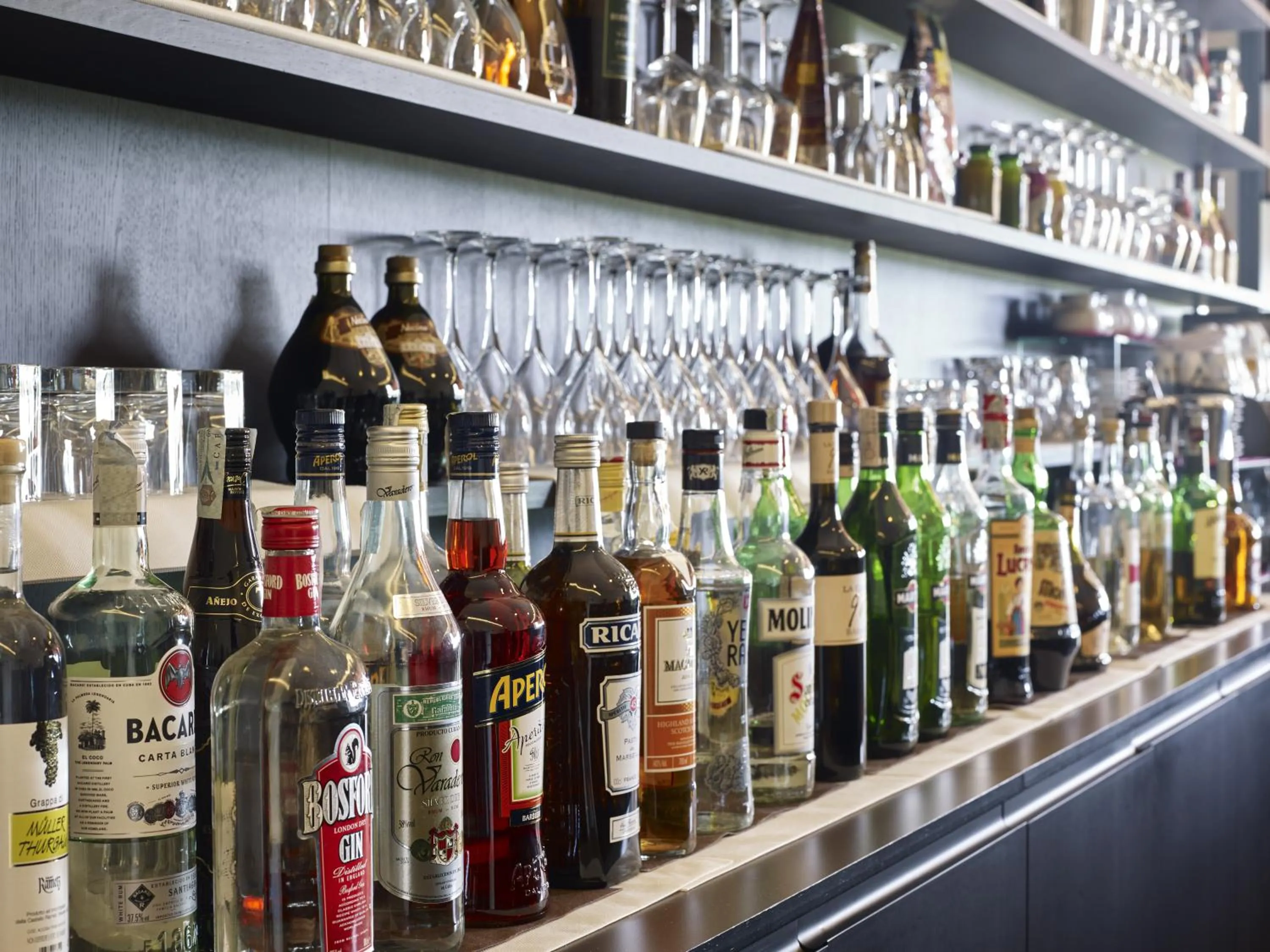 Lounge or bar in Casalgrande Hotel