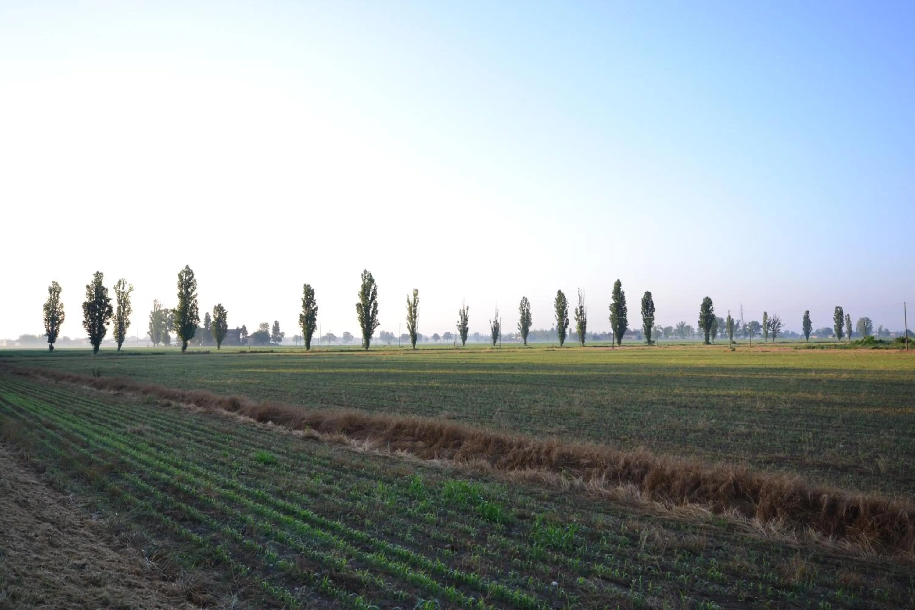 On site in Casalgrande Hotel