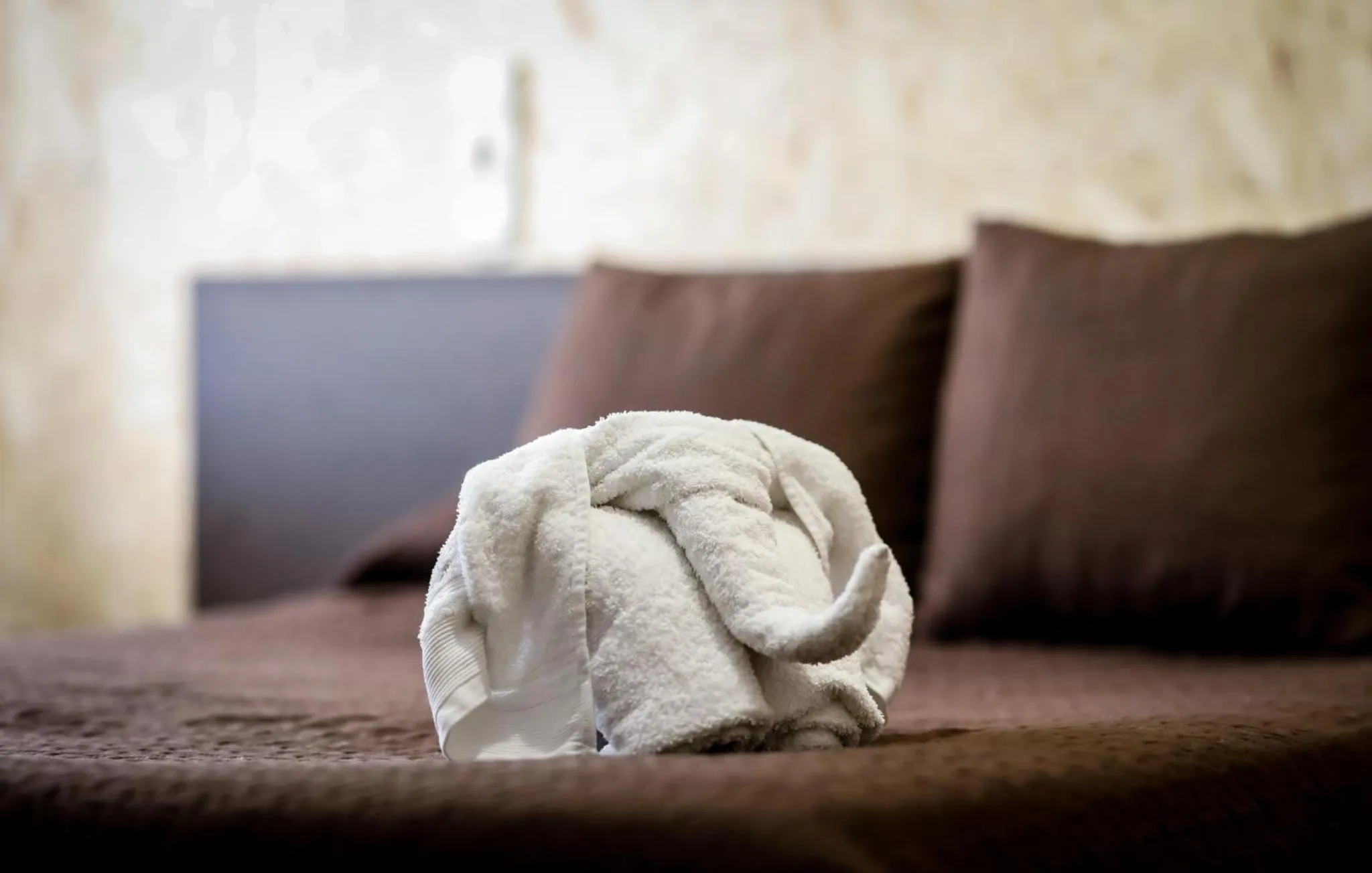 Bed in Hostal Conde David