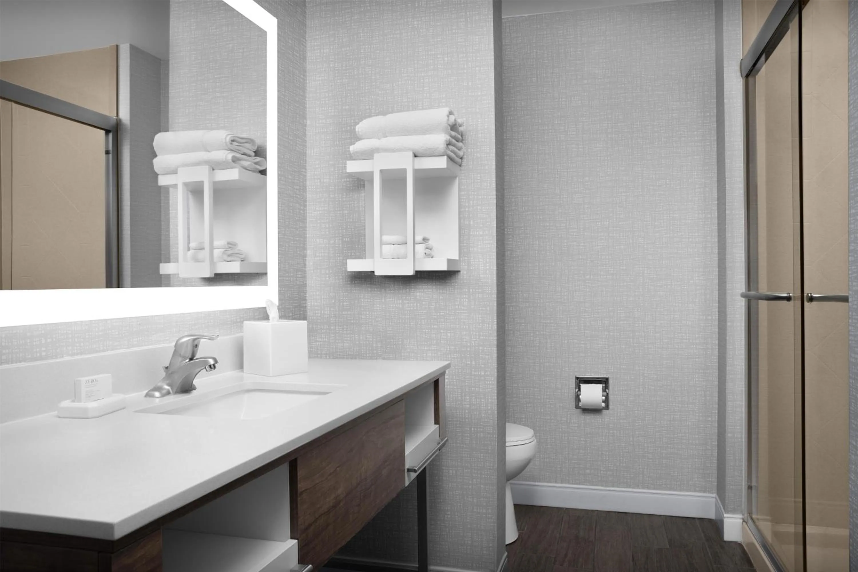 Bathroom in Hampton Inn & Suites Lakeland-South Polk Parkway