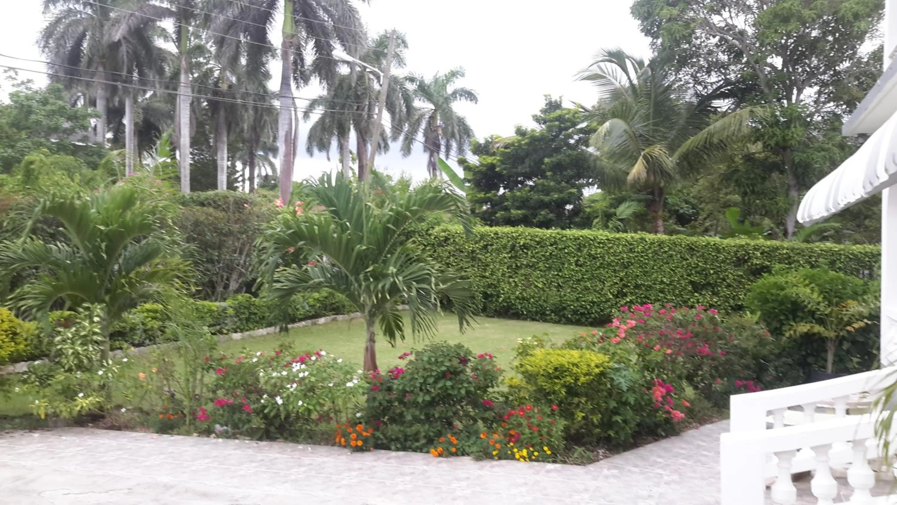 Garden in Lorenton Hideaway