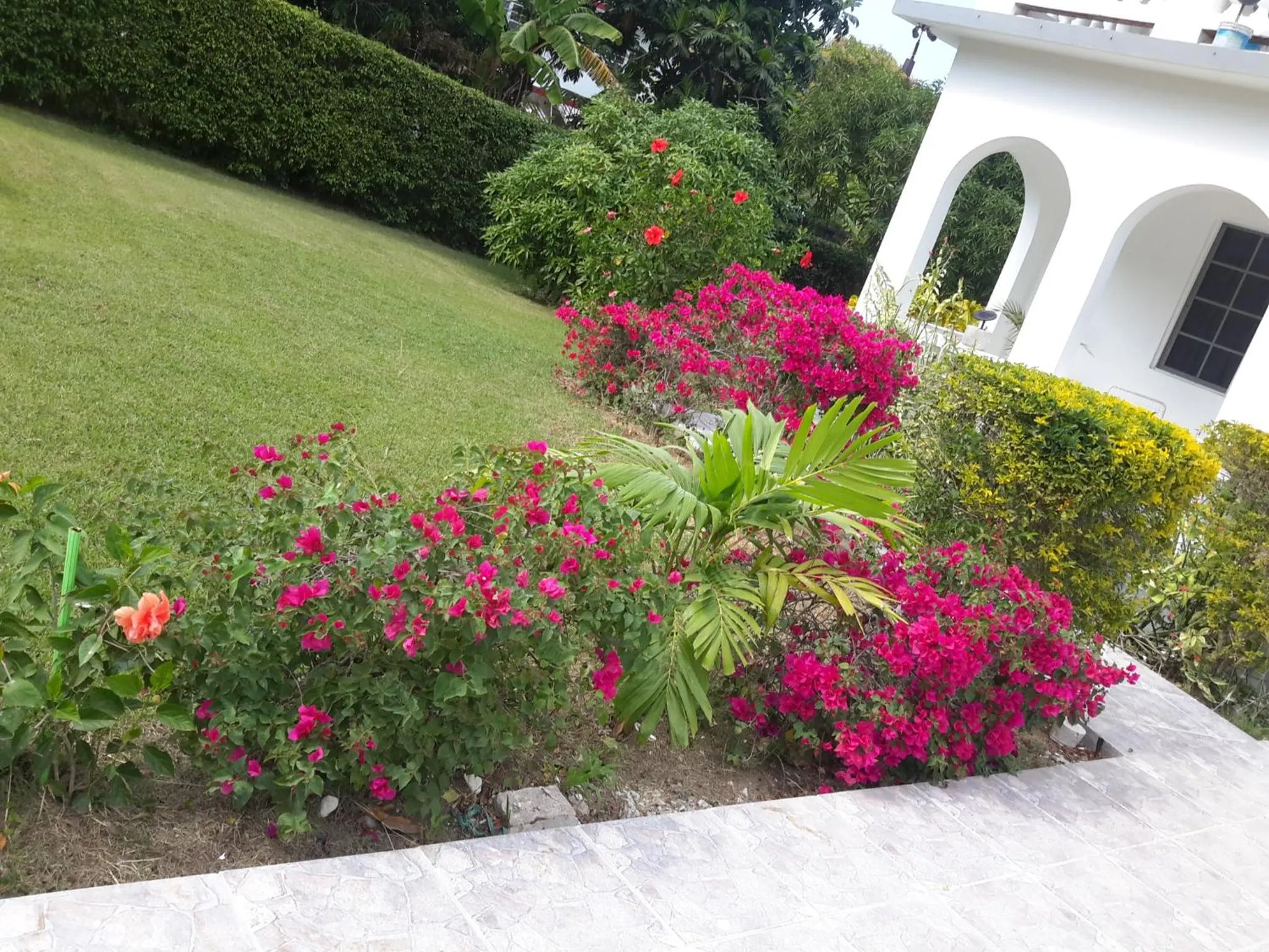 Garden in Lorenton Hideaway
