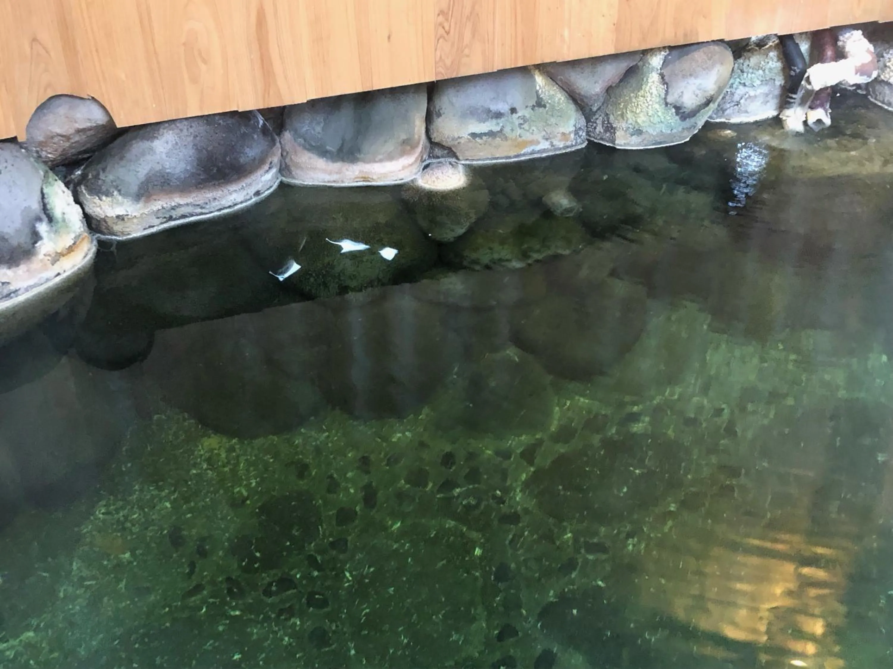 Hot Spring Bath in Hatago Nagomi