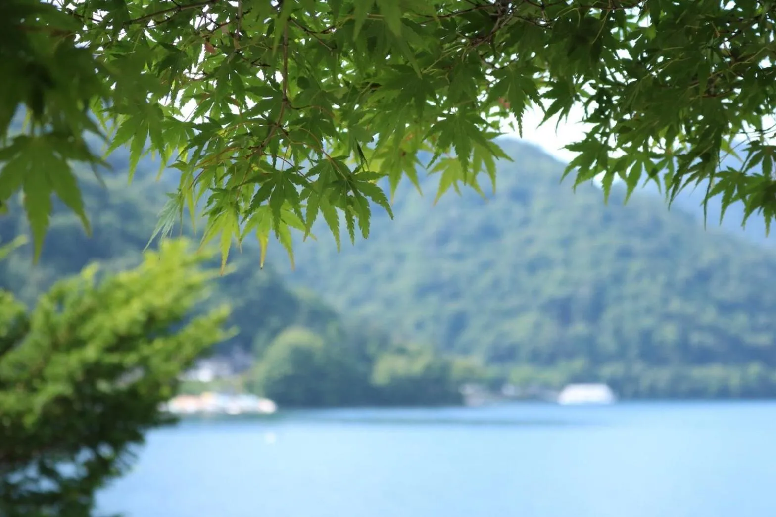 Lake view in Hatago Nagomi
