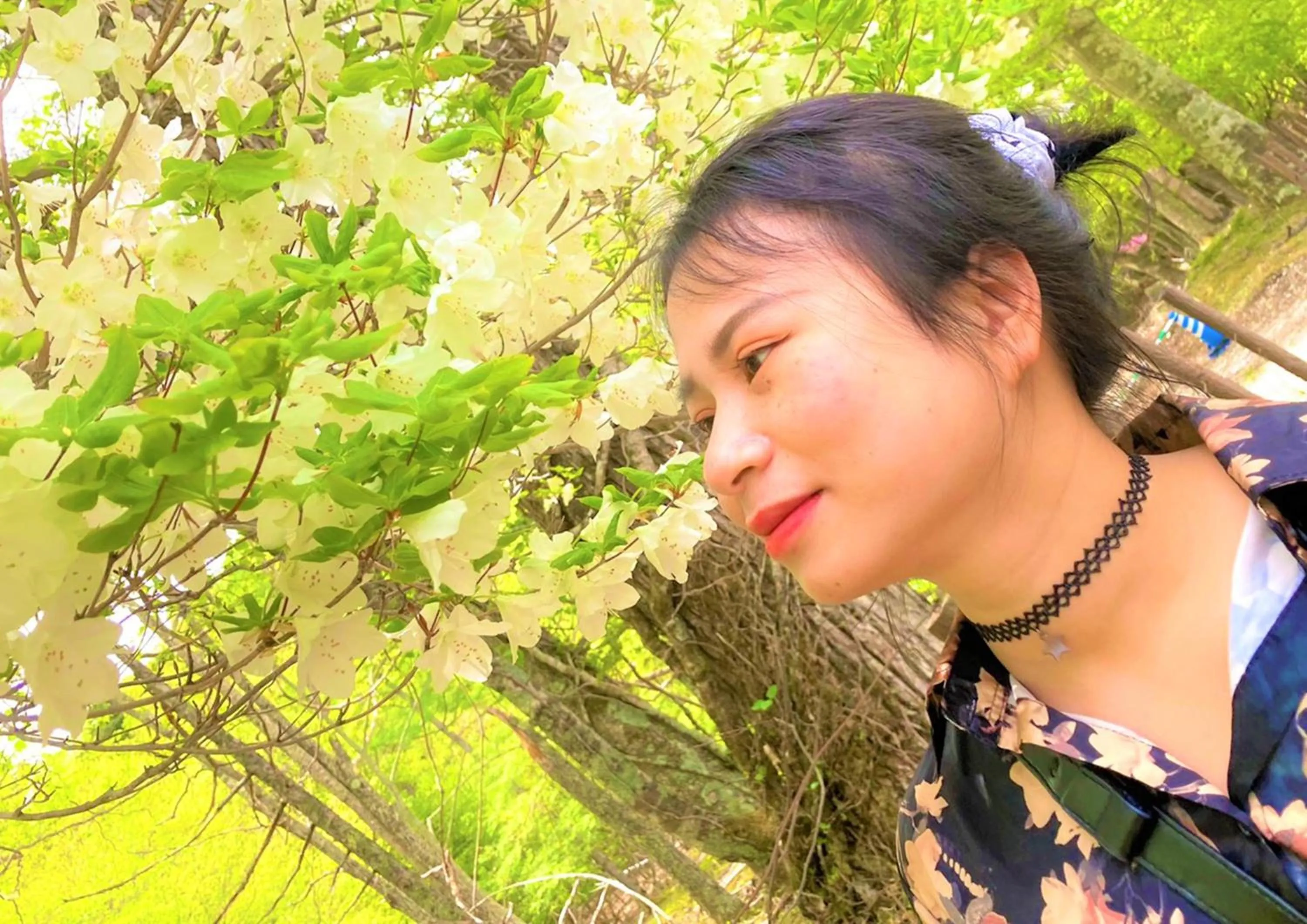 Hiking in Hatago Nagomi