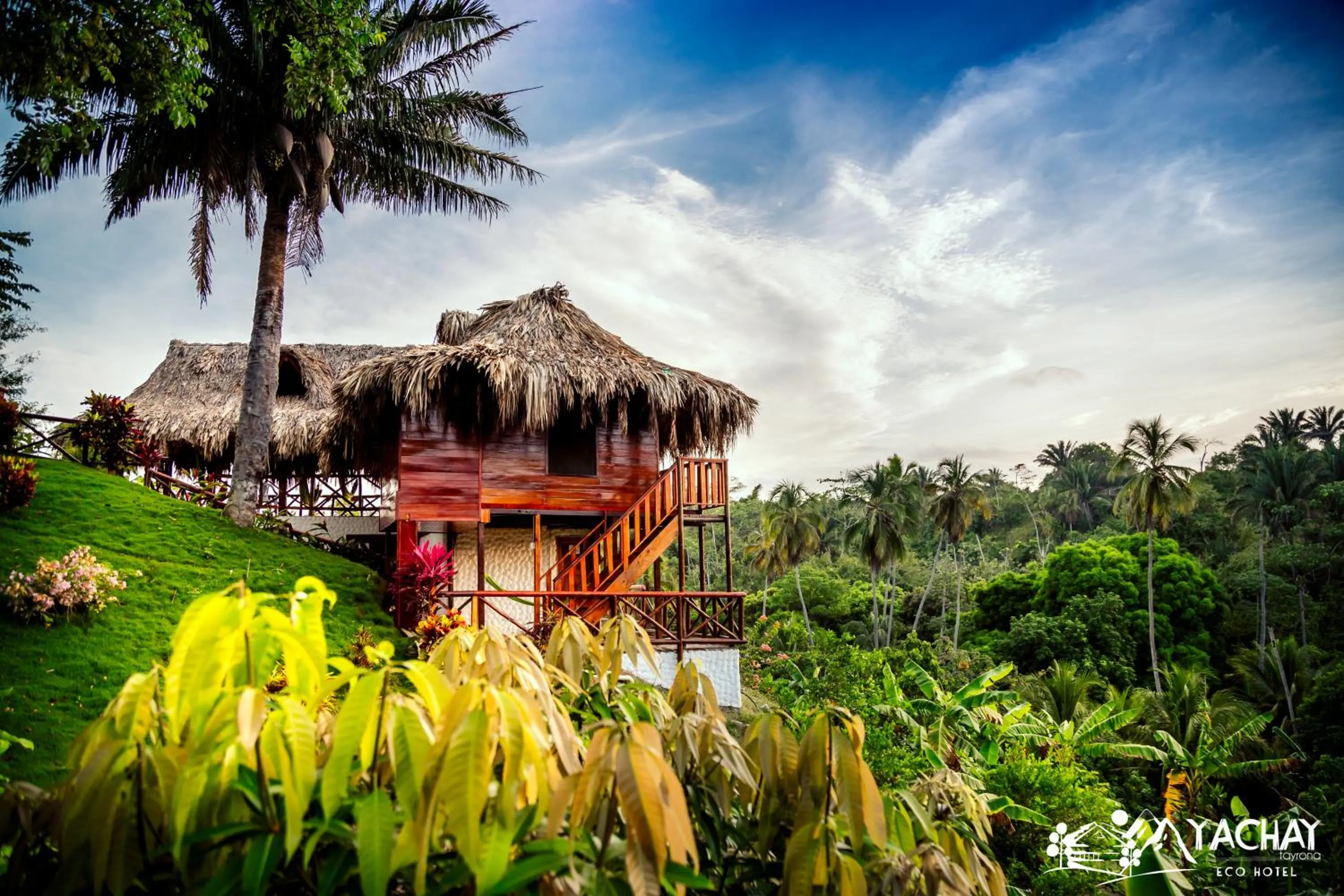 Natural landscape in Ecohotel Yachay Dentro del Parque Tayrona Inside Tayrona Park