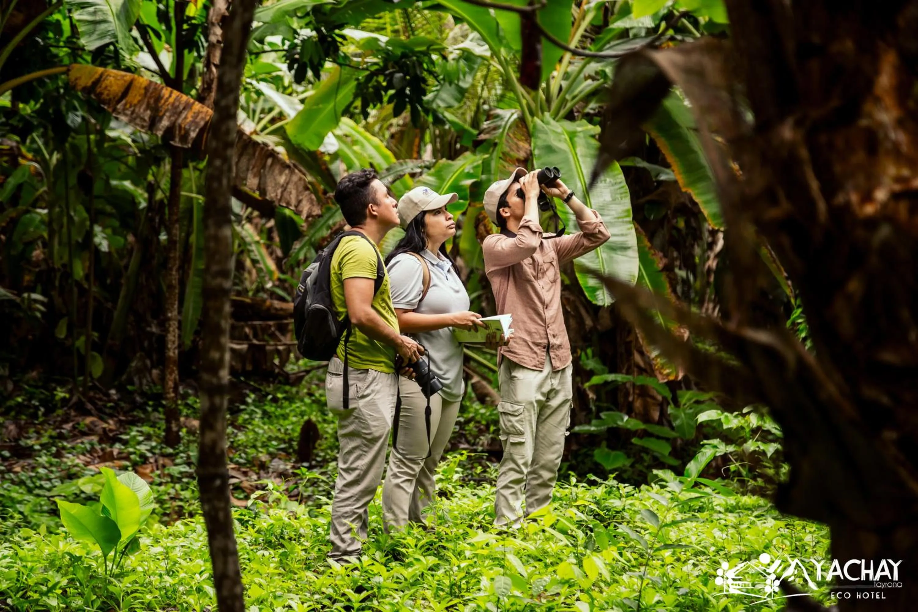 People in Ecohotel Yachay Dentro del Parque Tayrona Inside Tayrona Park