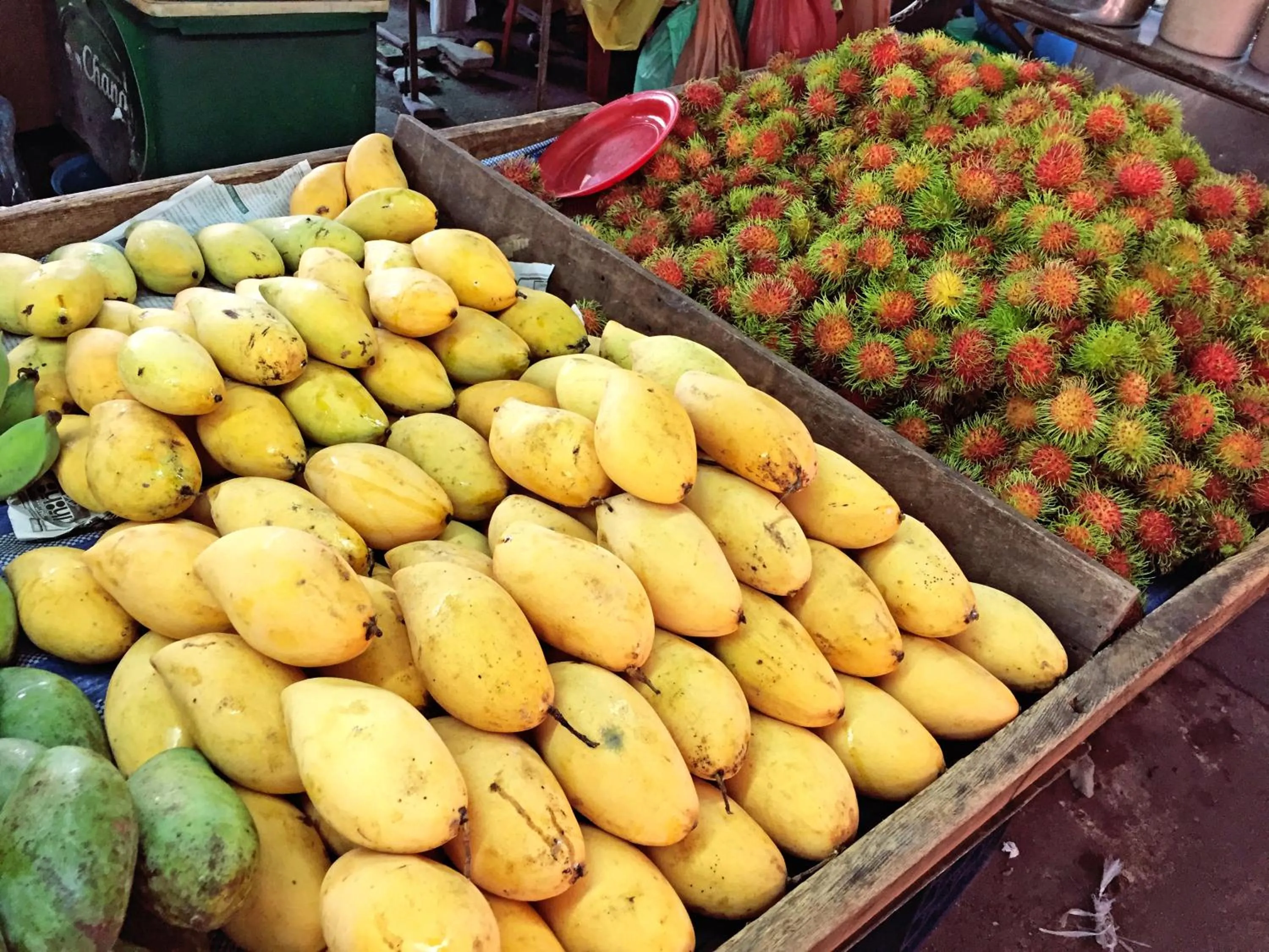 Area and facilities in Rio Monte Residence