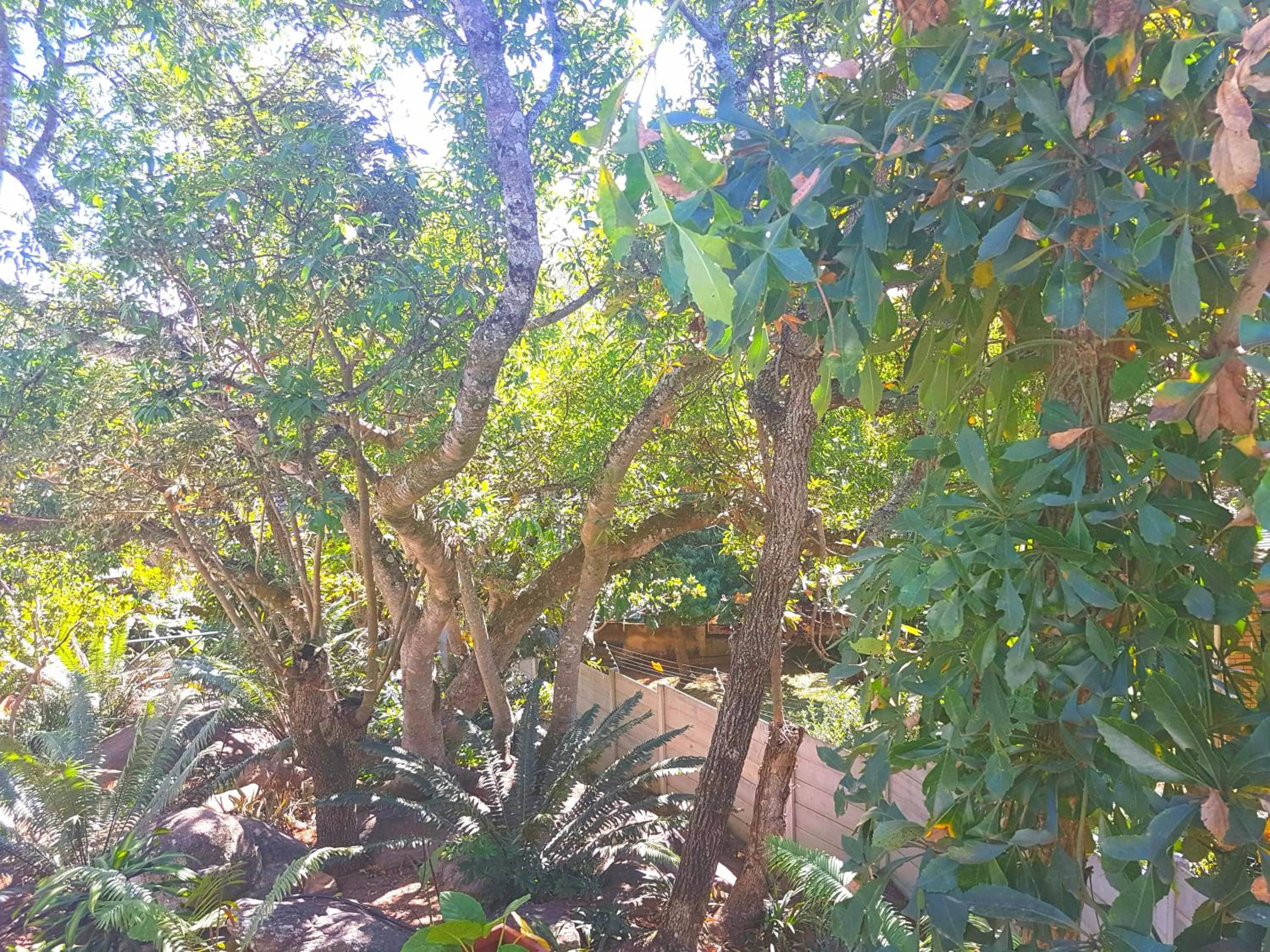 Be Our Guest Self Catering