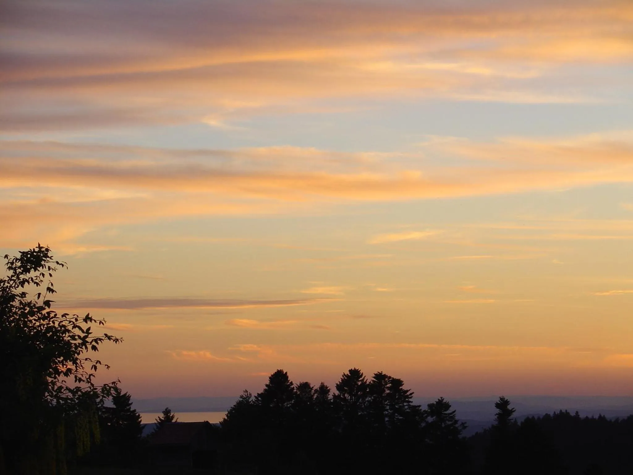 Area and facilities in Landhotel Herzberger garni Zimmer & Ferienwohnungen