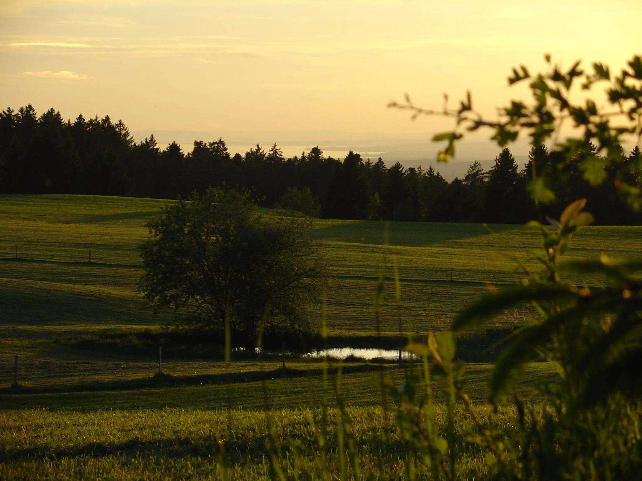 Area and facilities in Landhotel Herzberger garni Zimmer & Ferienwohnungen