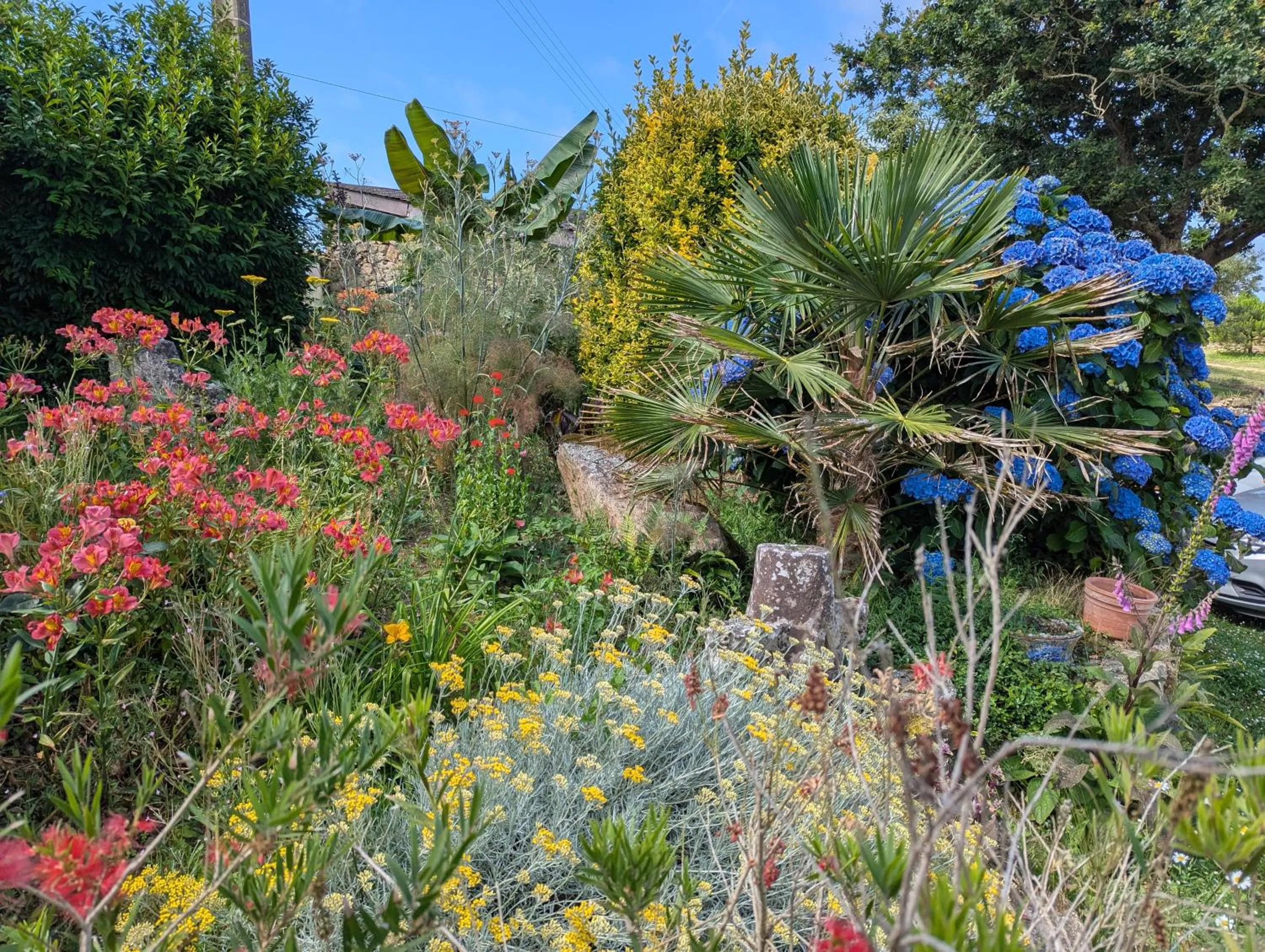 La Tour du Bois Dormant