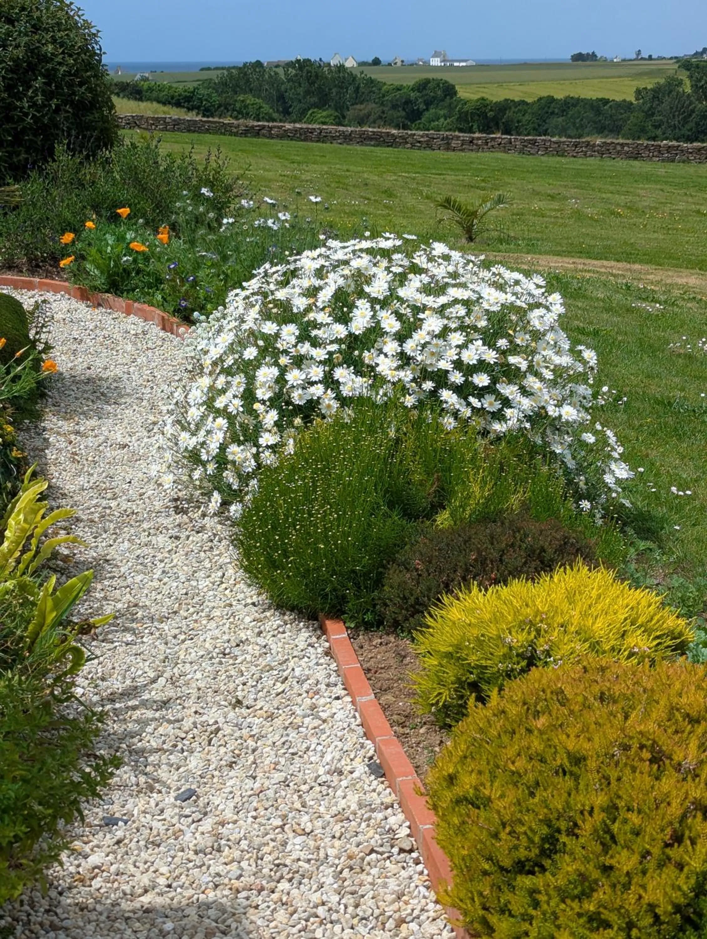 La Tour du Bois Dormant