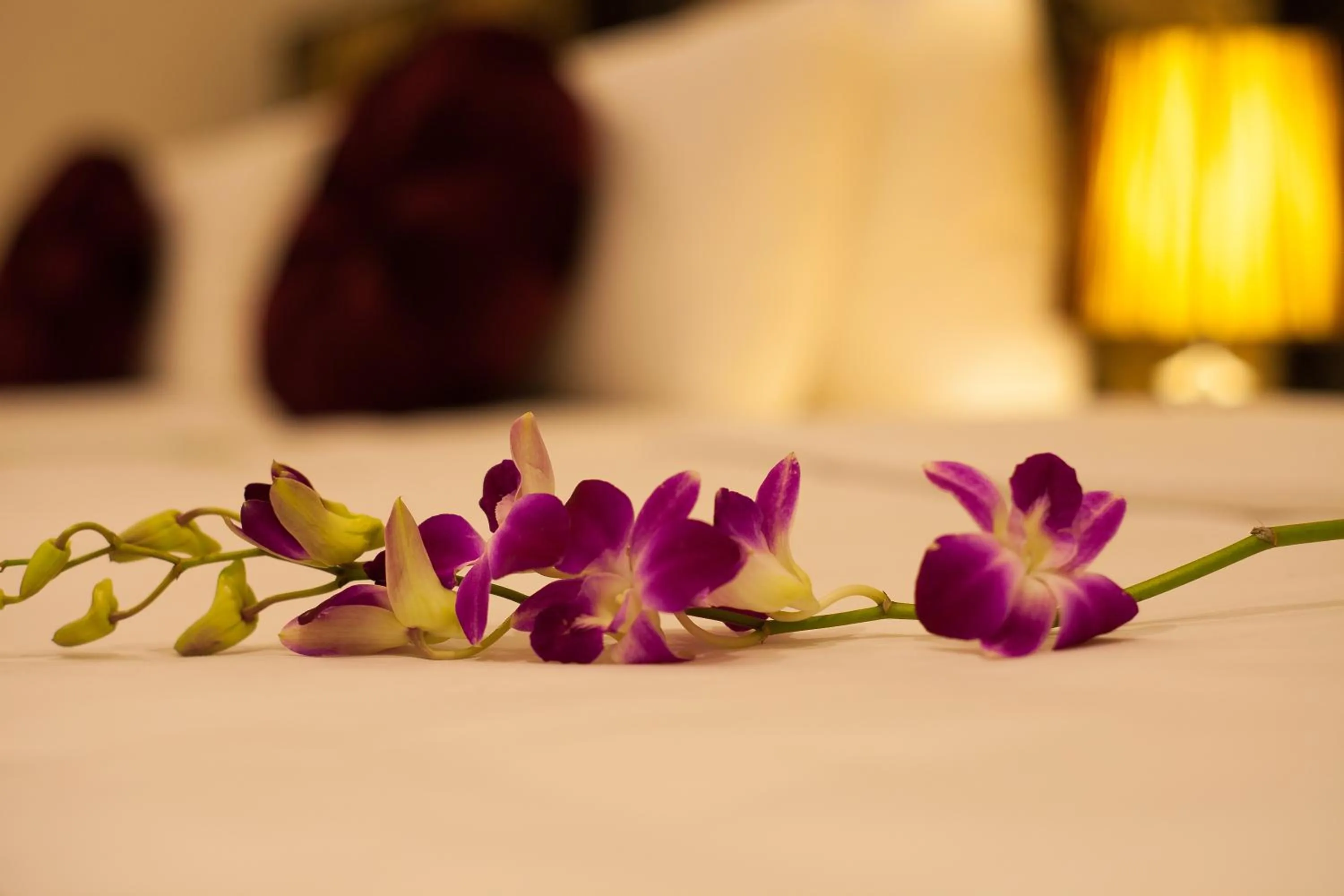 Decorative detail, Bed in Serenity Diamond Hotel