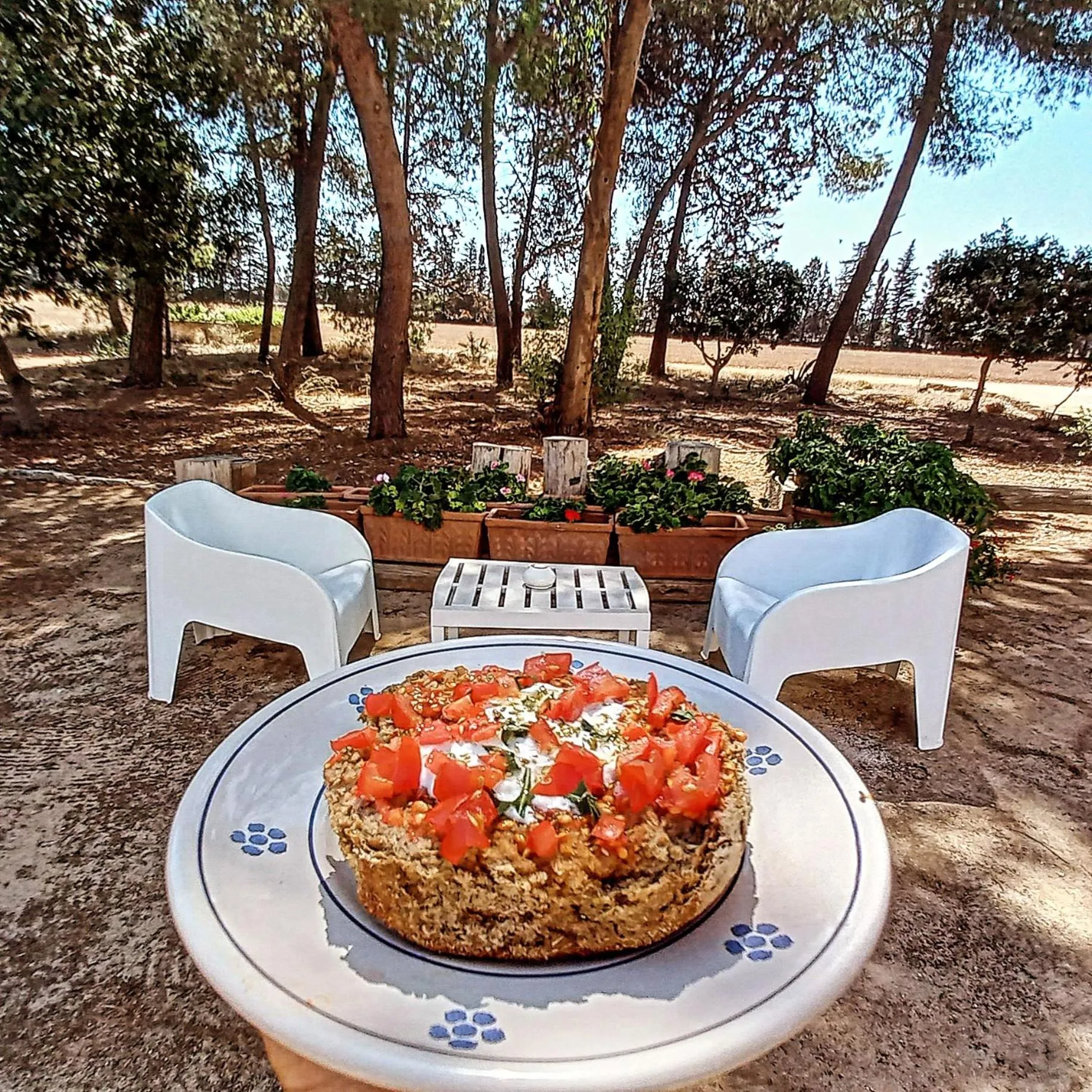 Garden in Masseria Fracchicchi