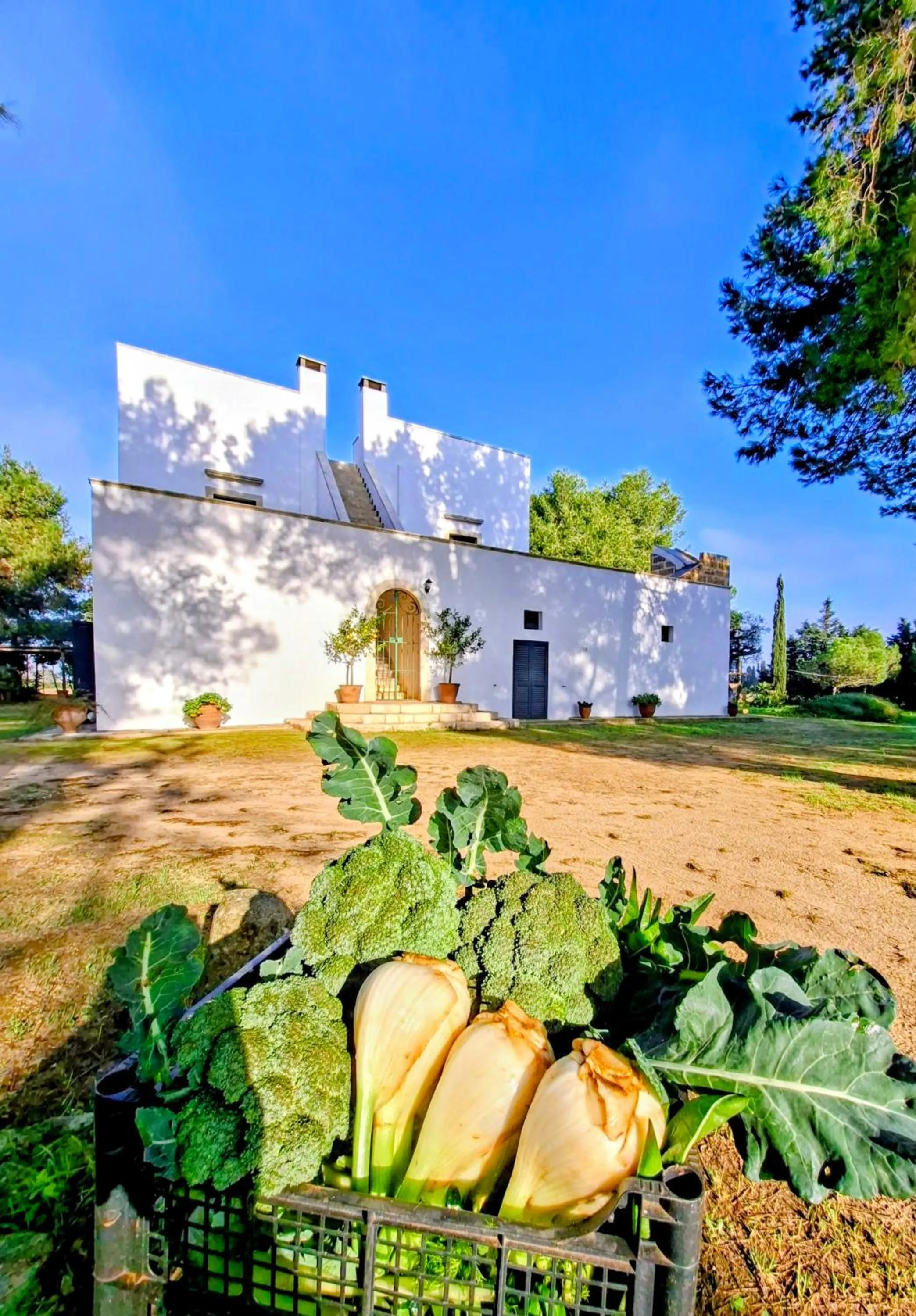 Masseria Fracchicchi