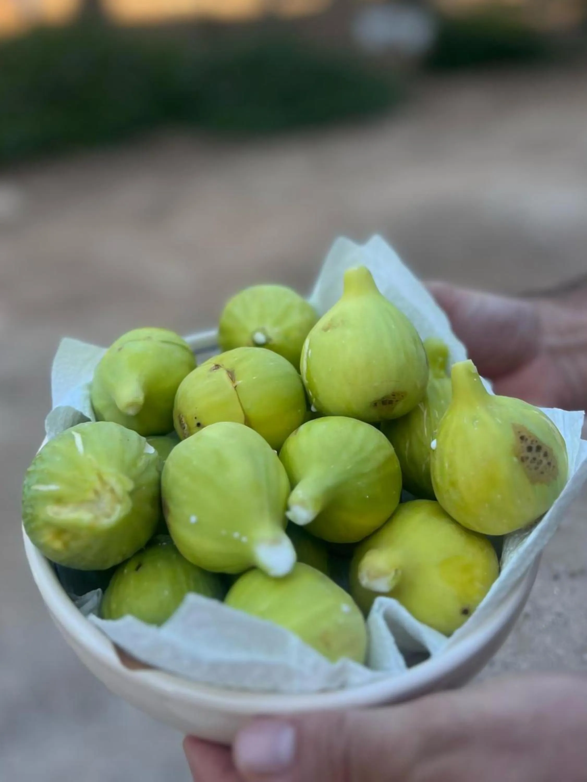 Masseria Fracchicchi