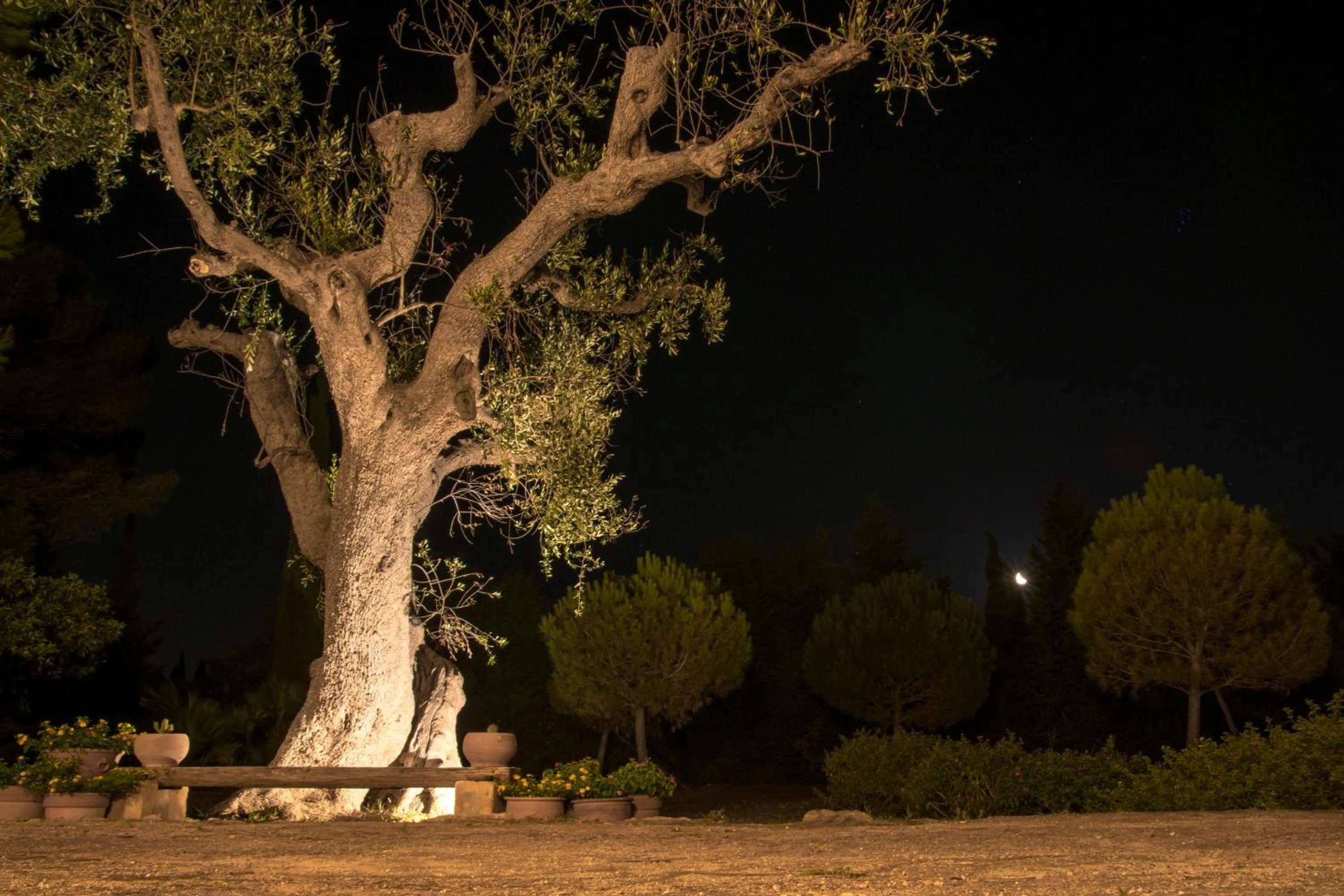 Masseria Fracchicchi