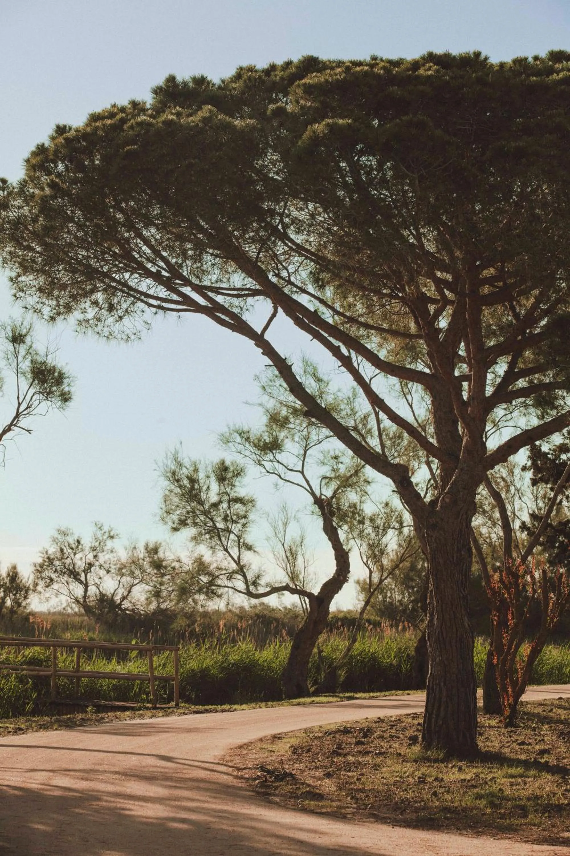 View (from property/room) in Les Bains Gardians