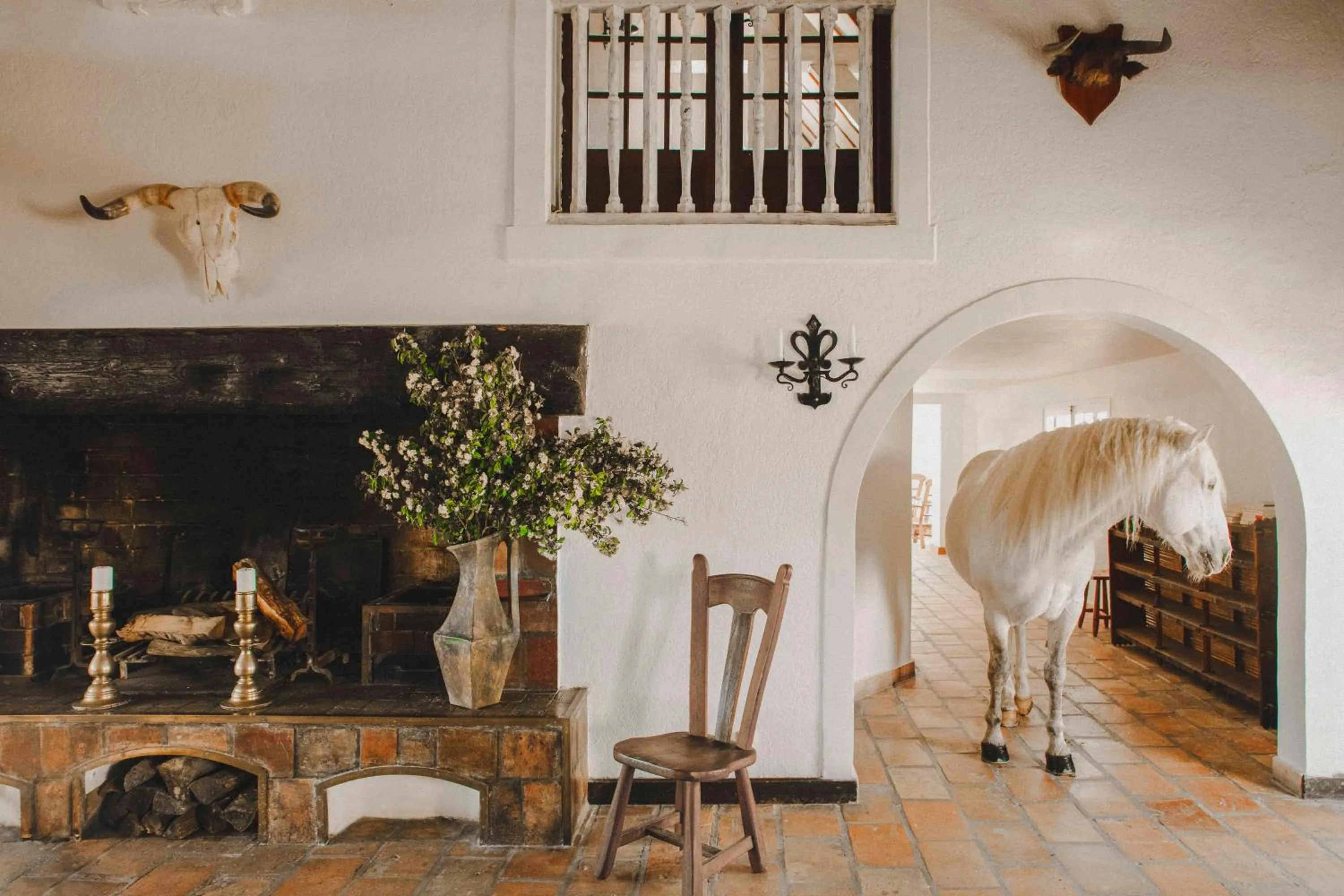 Restaurant/places to eat in Les Bains Gardians