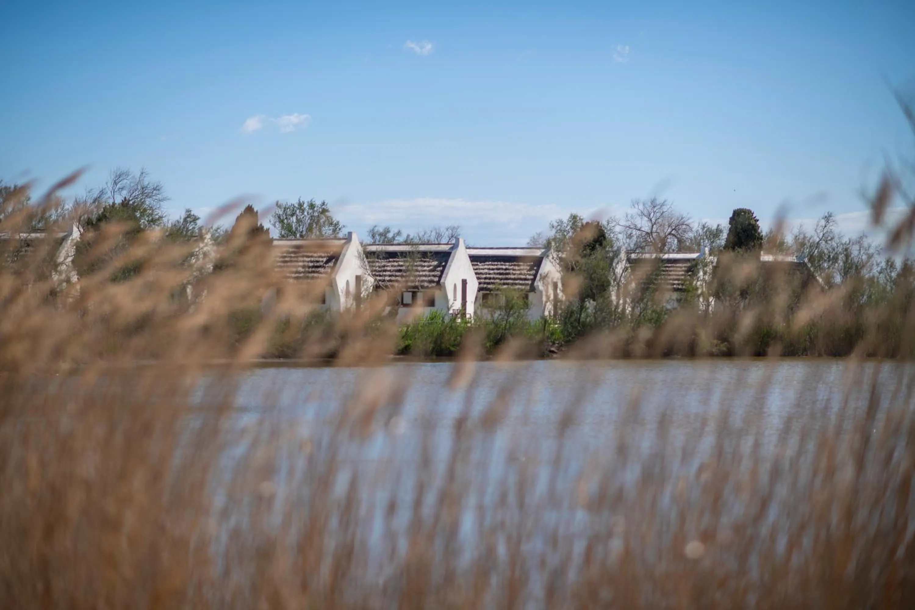 Natural landscape in Les Bains Gardians