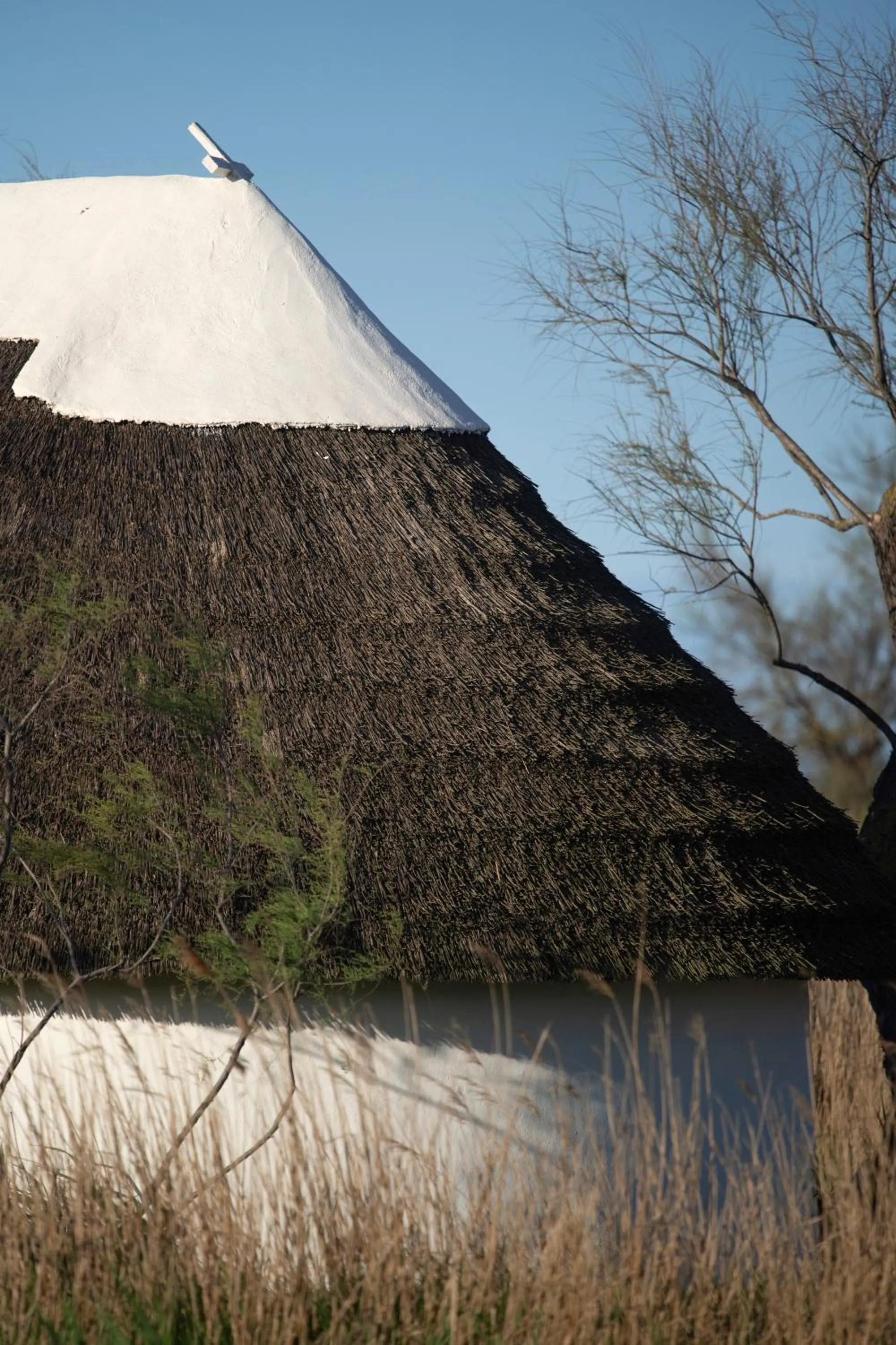 Property building in Les Bains Gardians